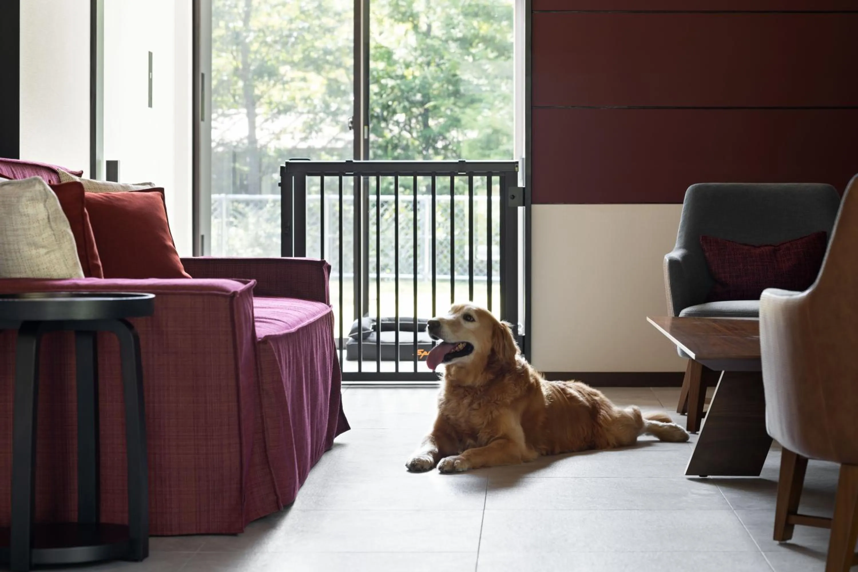 Pets in Fuji Speedway Hotel, in The Unbound Collection by Hyatt