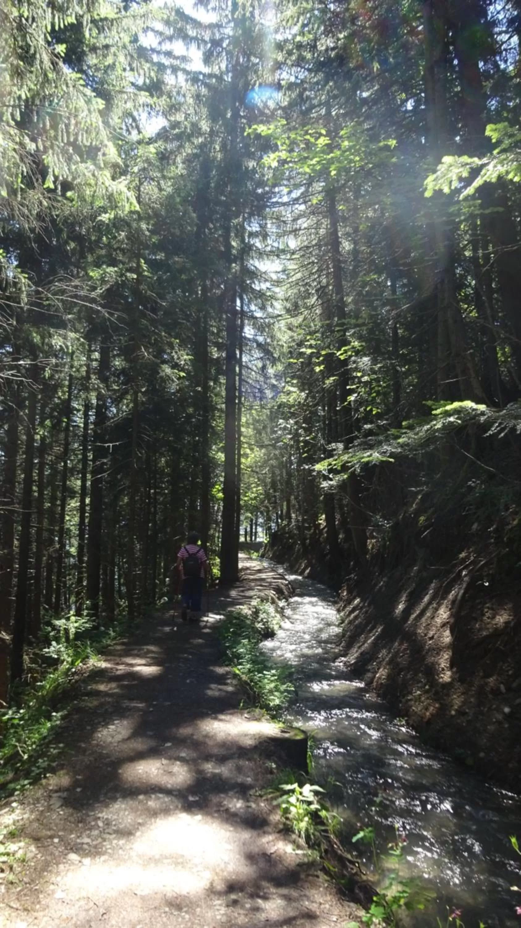 Activities in la grange à Caroline