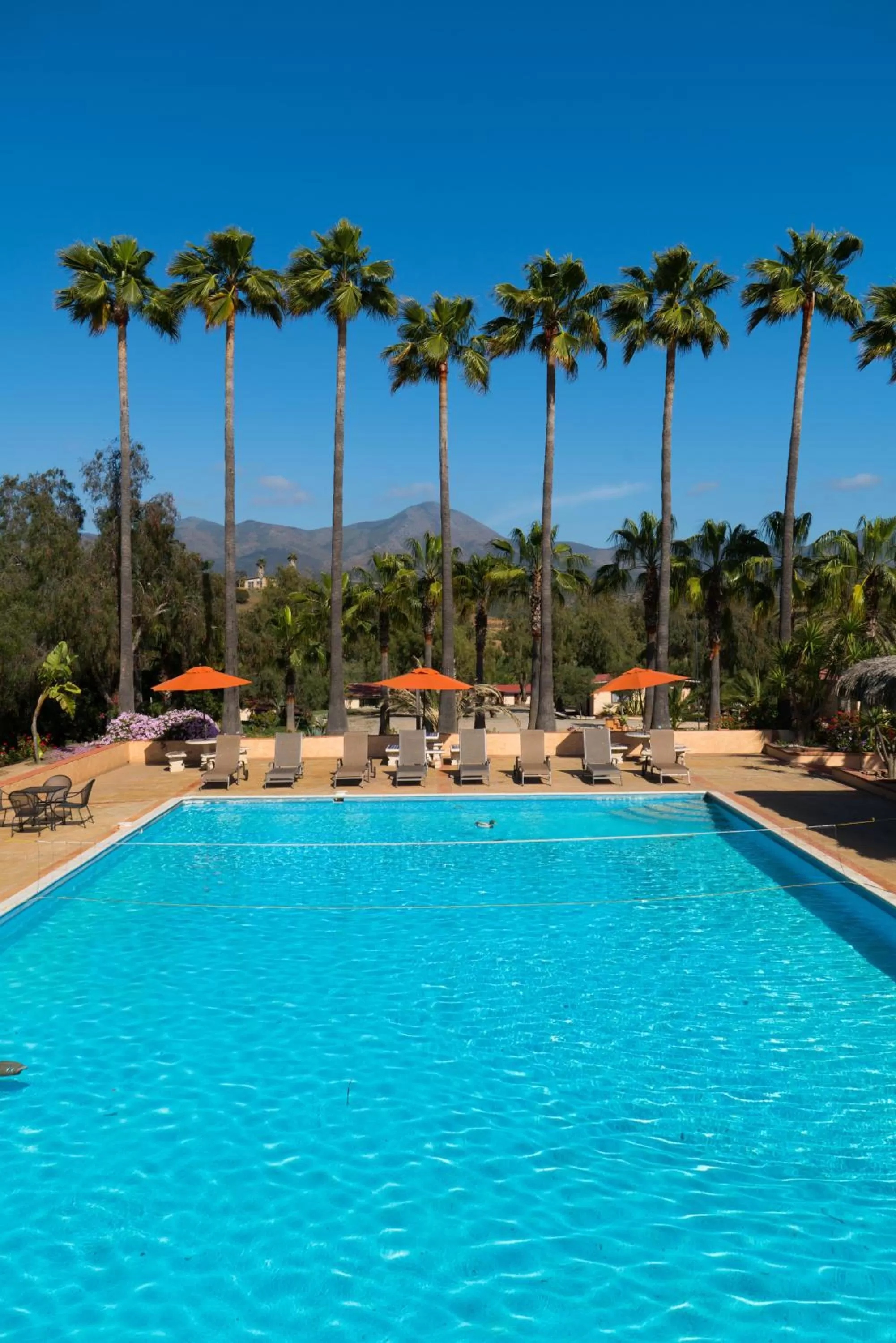 Family, Swimming Pool in Horsepower Ranch