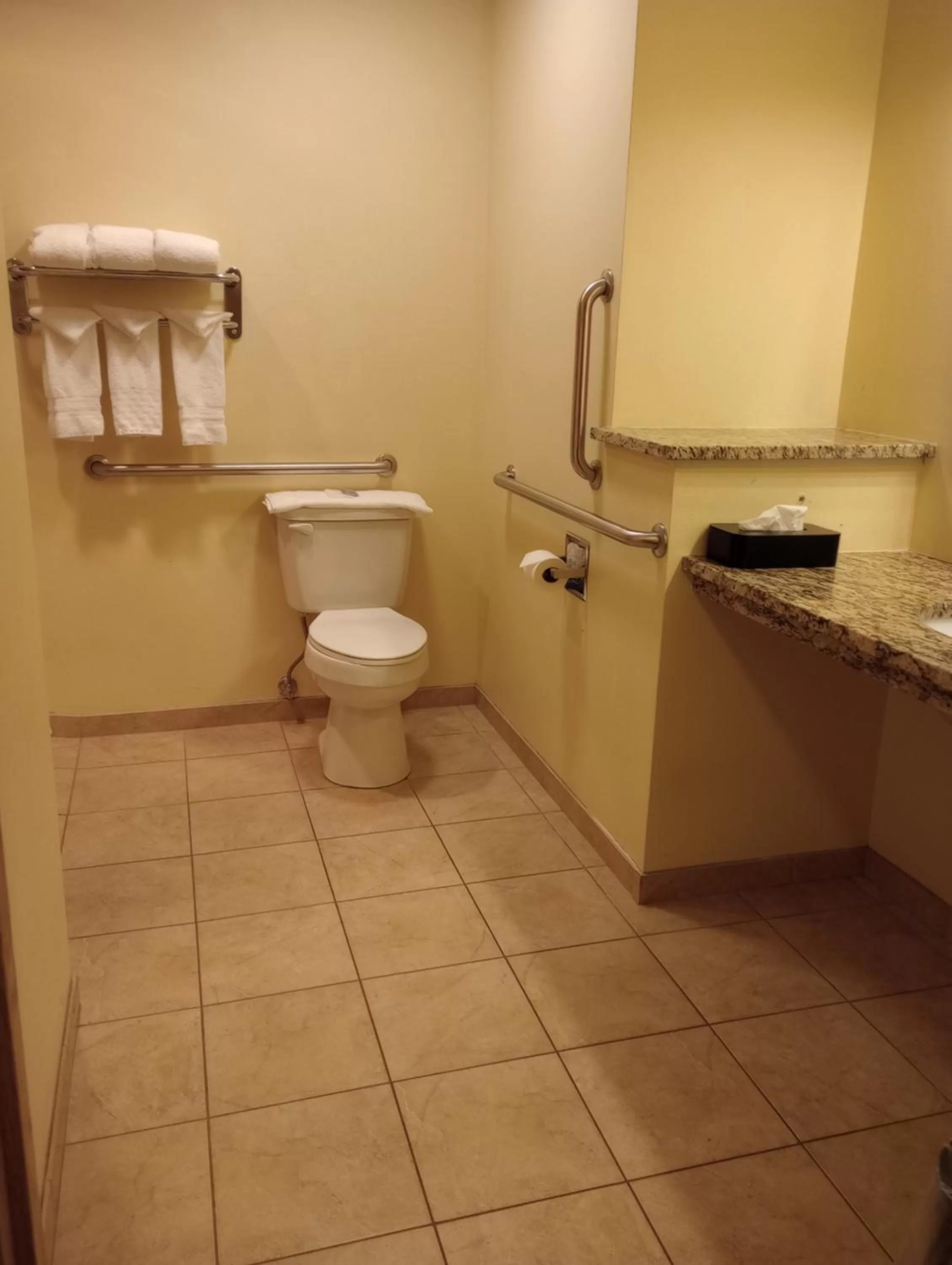 Bathroom in Wingate by Wyndham Mount Vernon