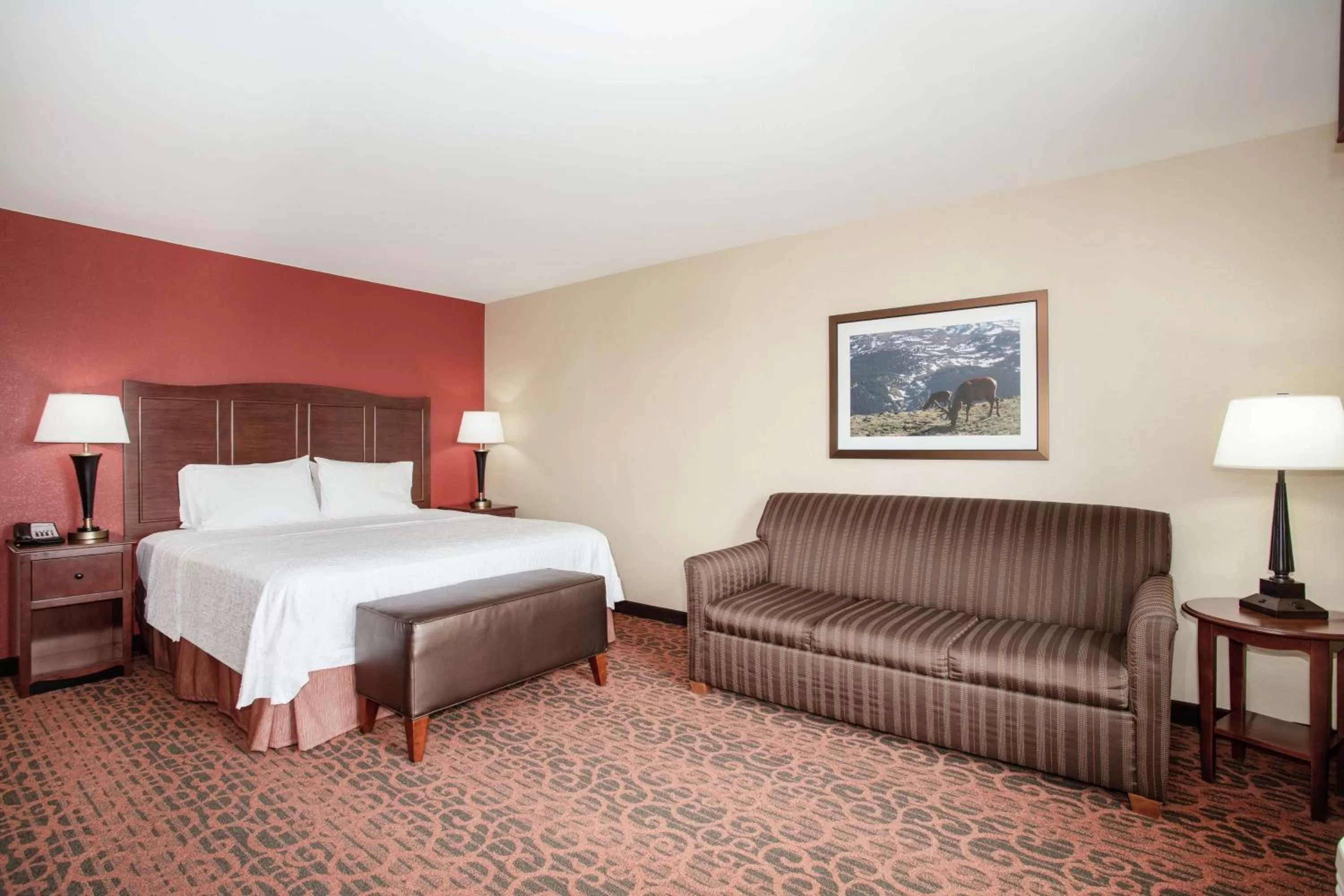 Living room, Bed in Hampton Inn and Suites Denver/South-RidgeGate