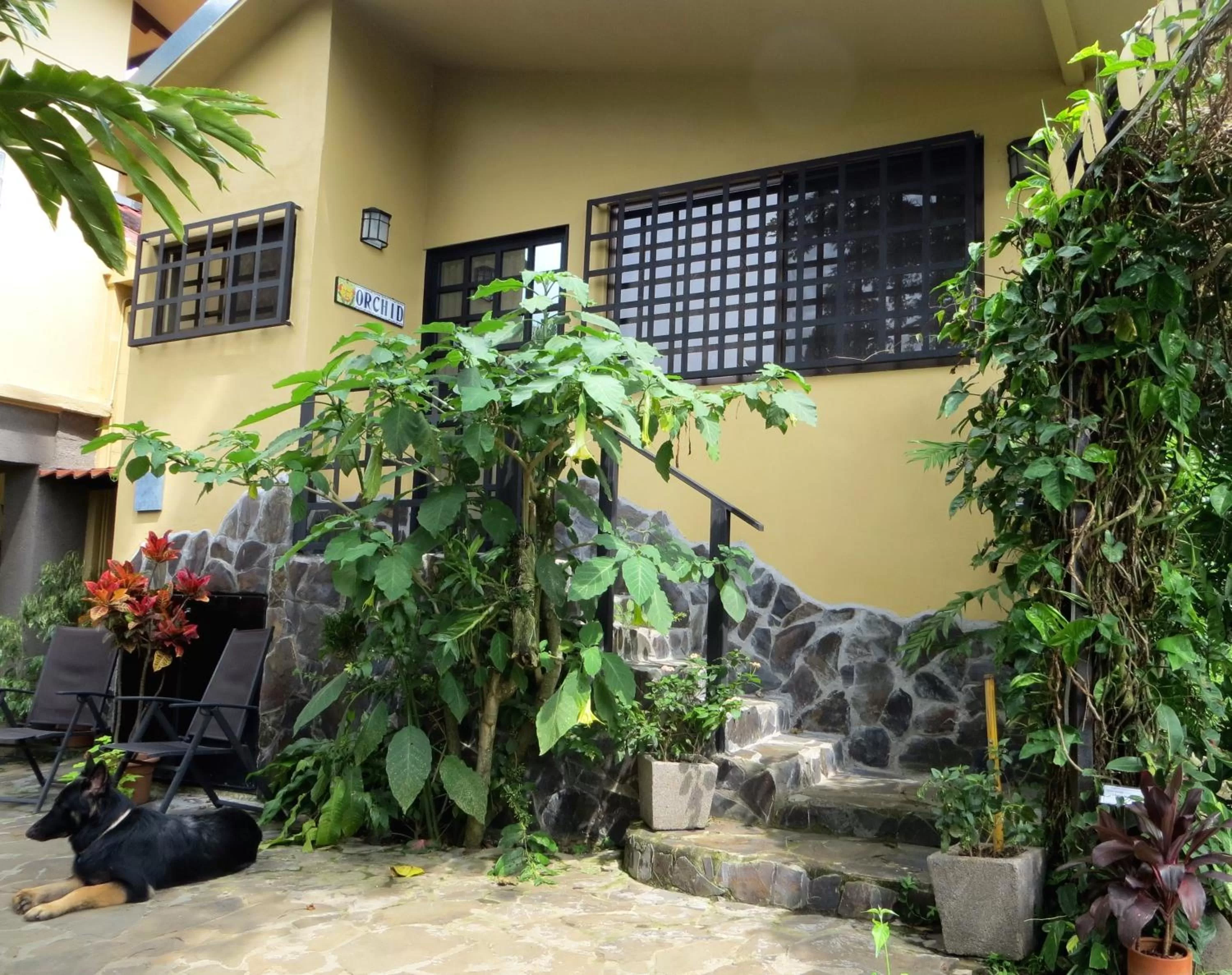 Patio in Pura Vida Hotel