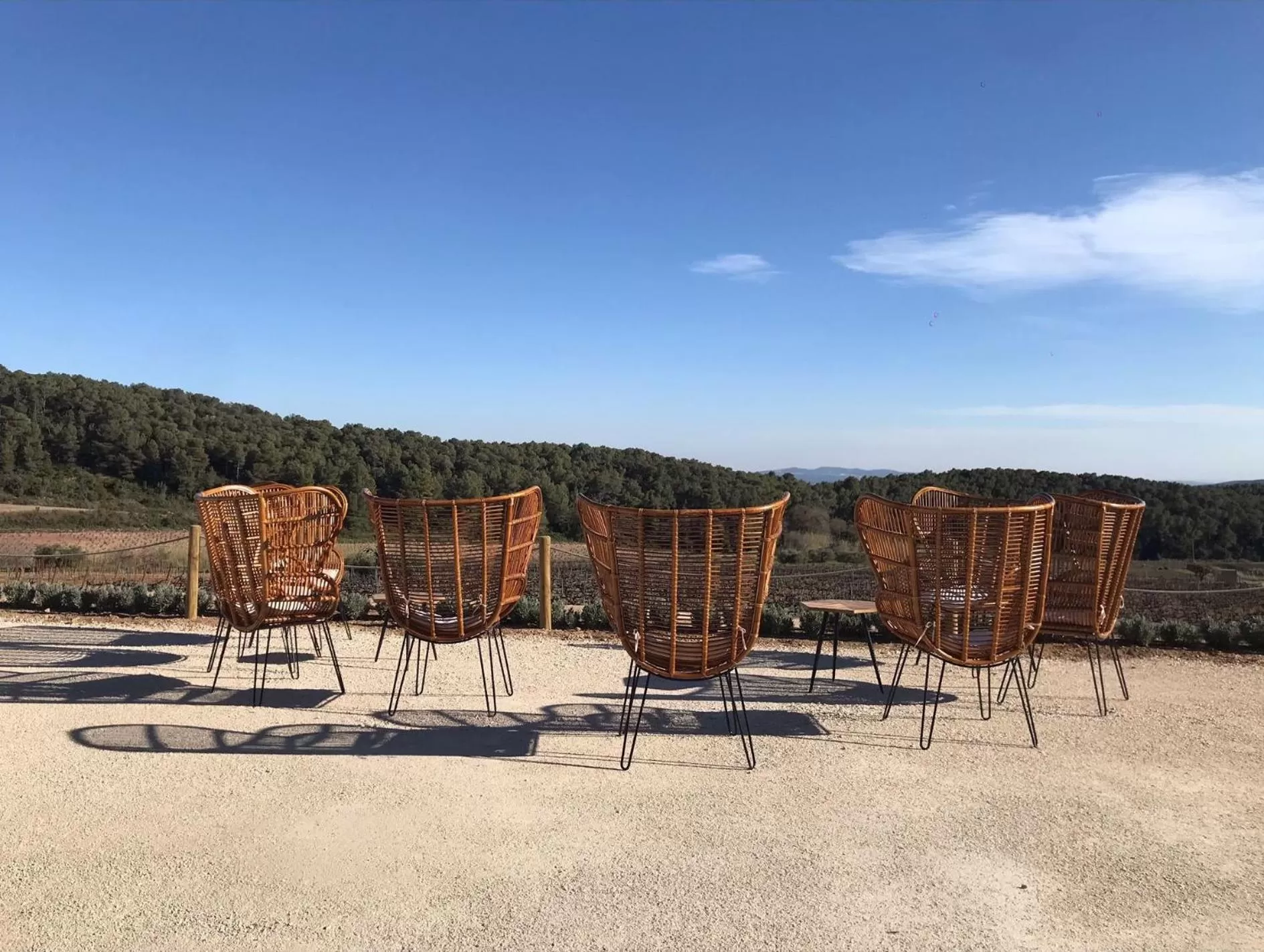 Restaurant/places to eat in Hotel Montrubí 1771 - Slow Winery Hotel - Adults only