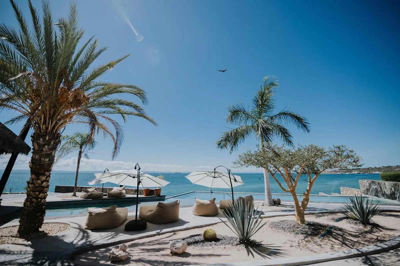 View (from property/room) in Orchid House Baja