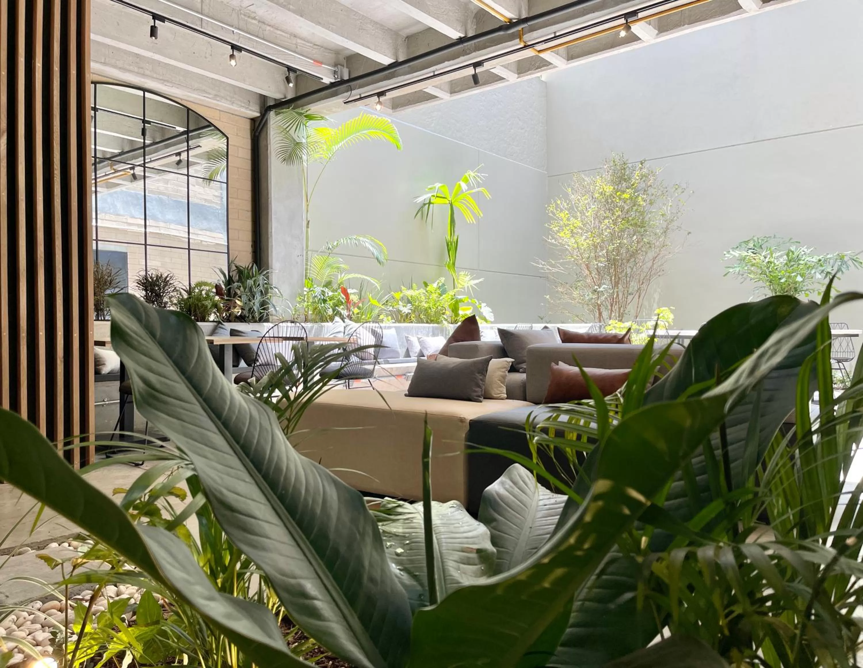 Area and facilities in Beminimal Hotel