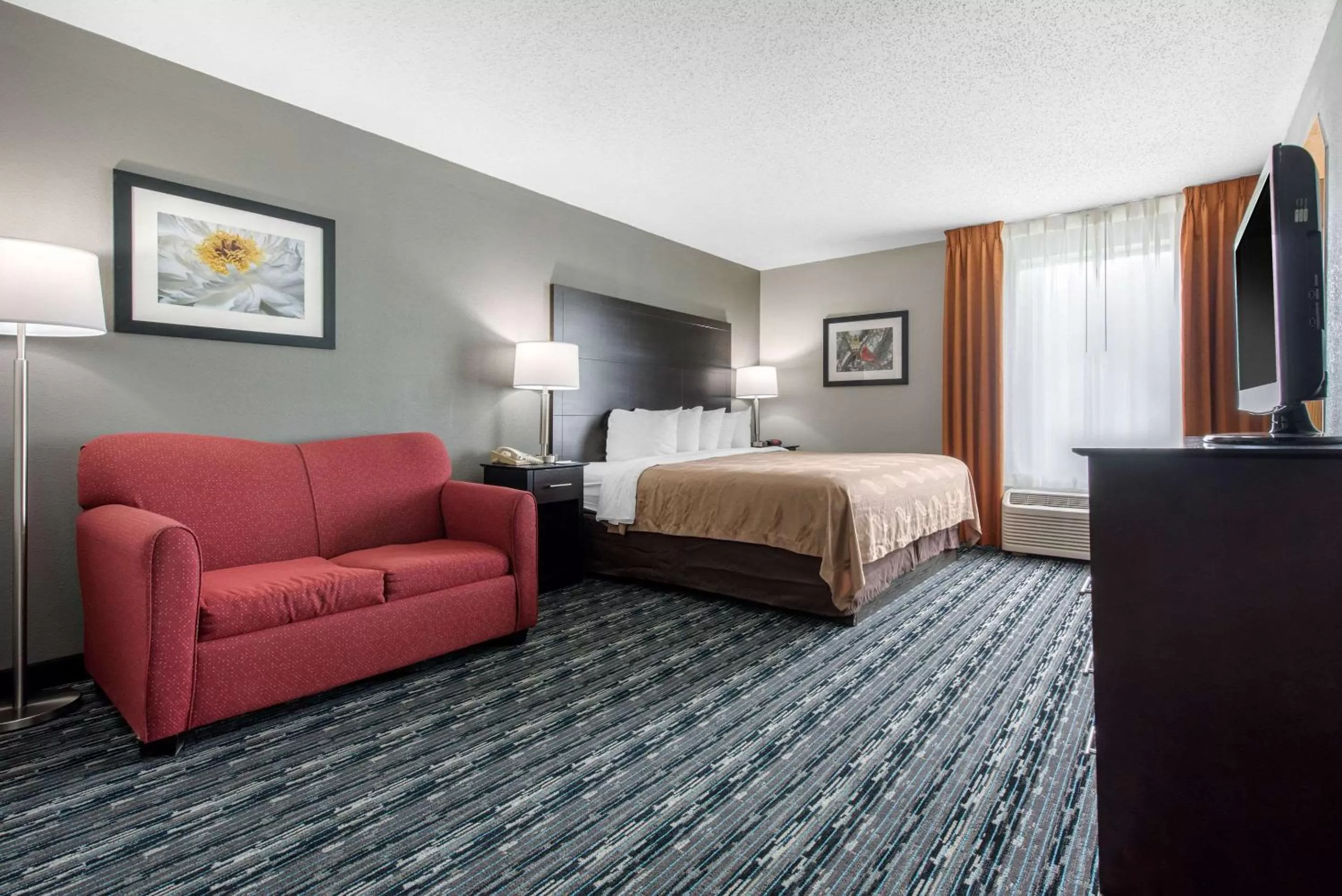 Photo of the whole room, Bed in Quality Inn & Suites Brownsburg - Indianapolis West