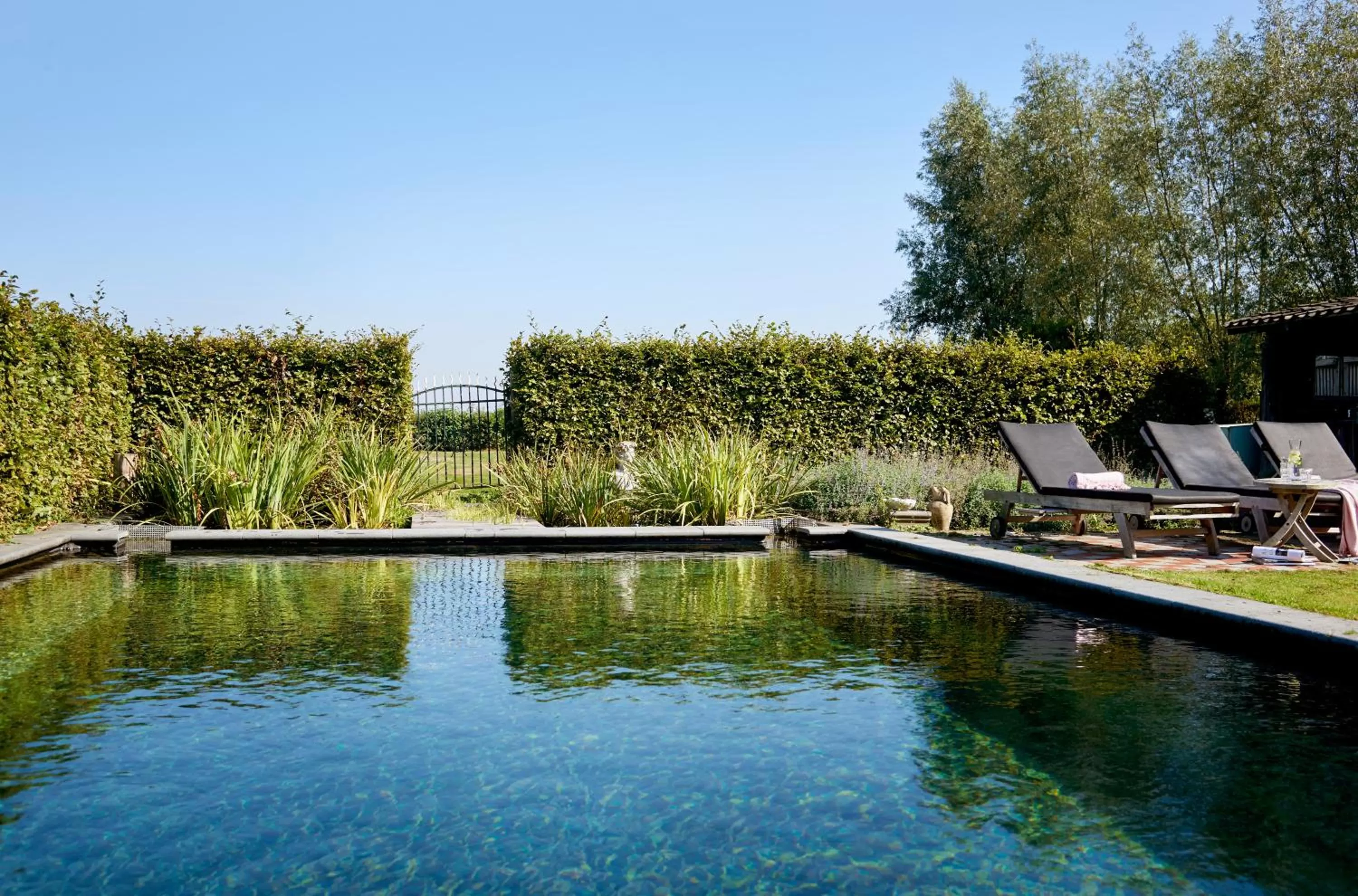 Garden in Gasterie Lieve Hemel