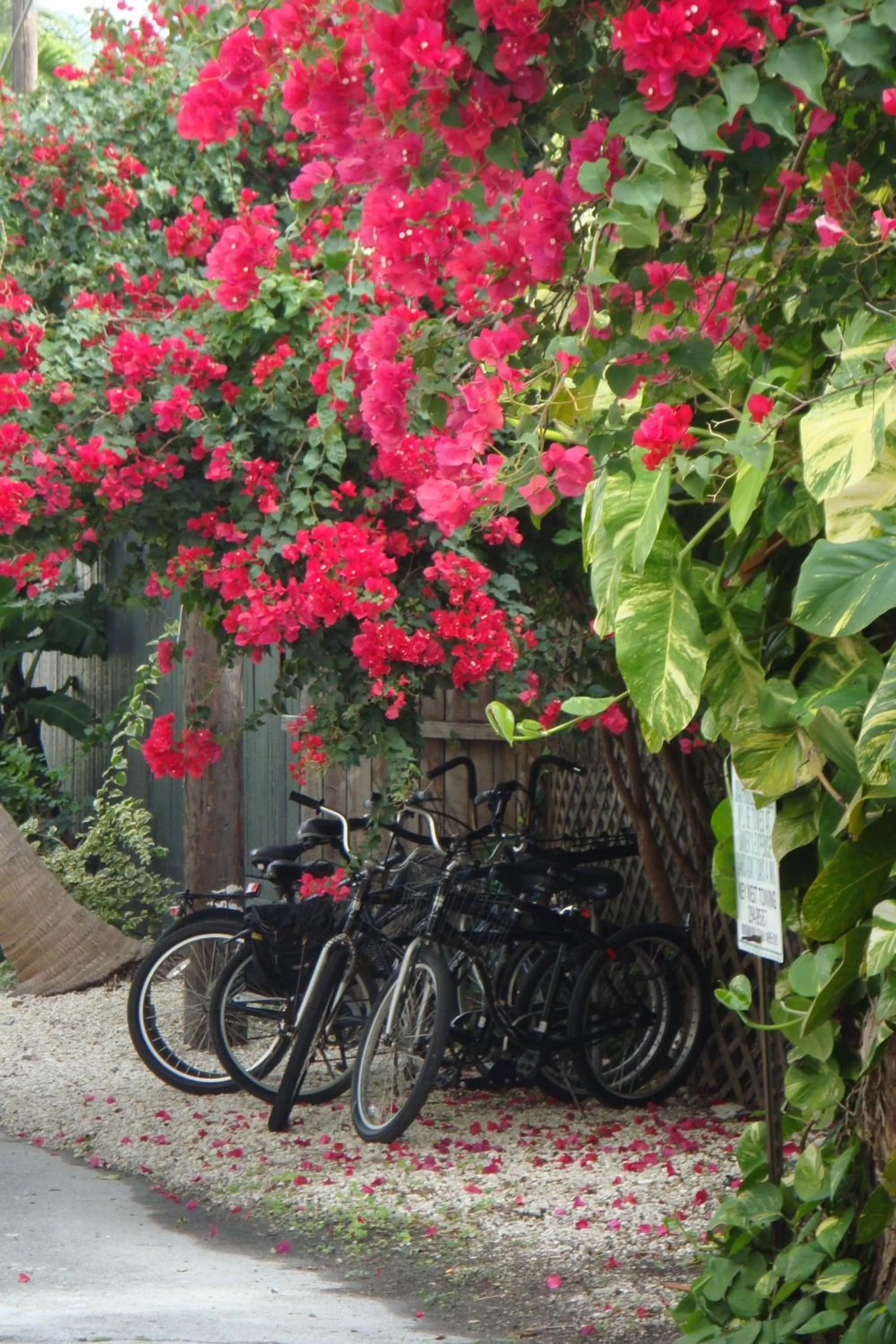 Other in El Patio Motel