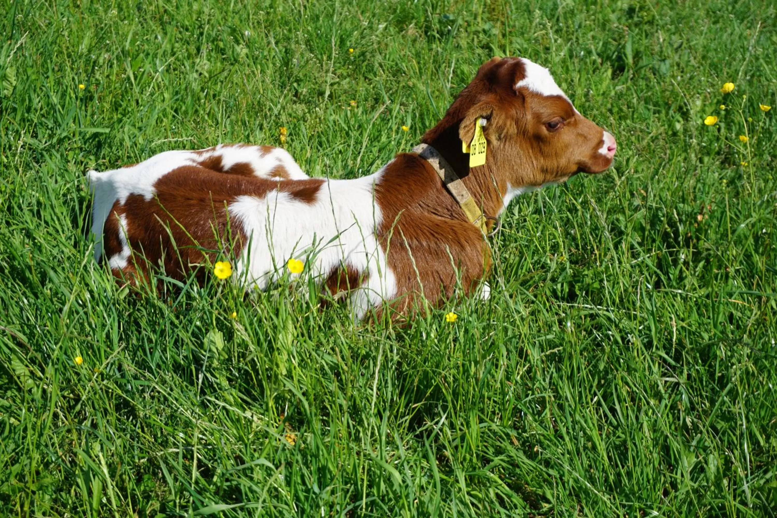 Off site in Kurparkhotel Faißt