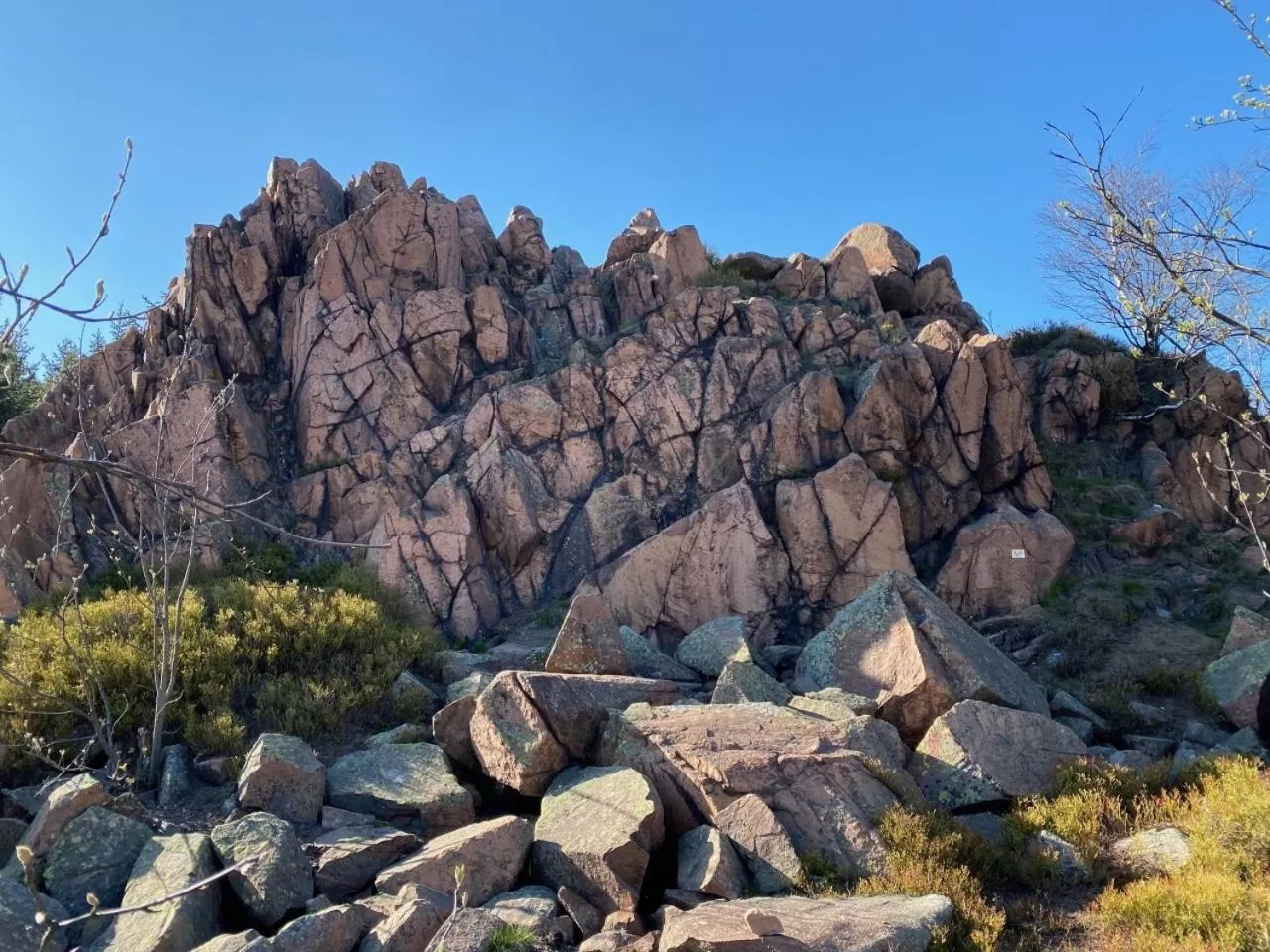 Staff in Hotel Lugsteinhof