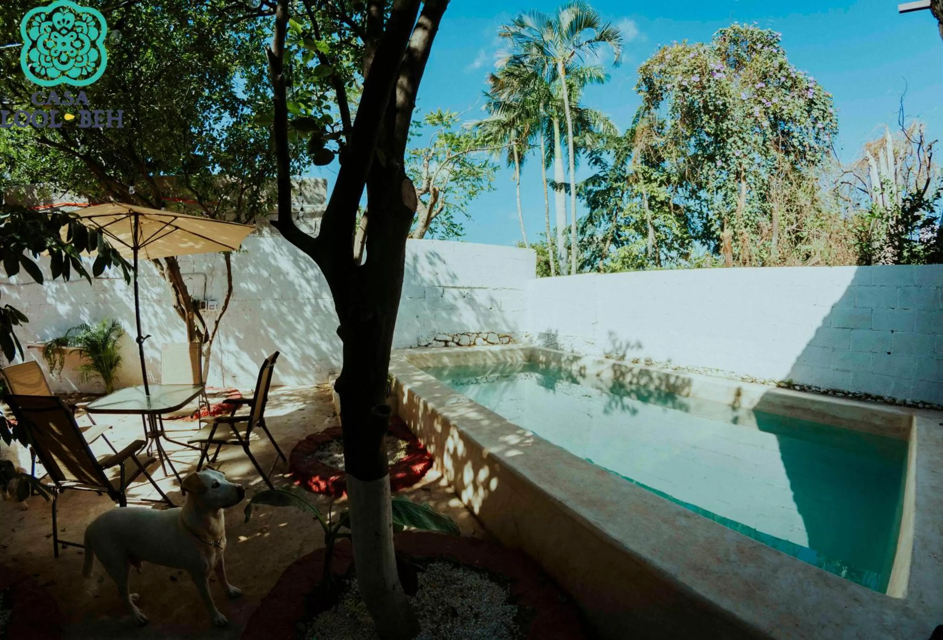 Casa Lool Beh