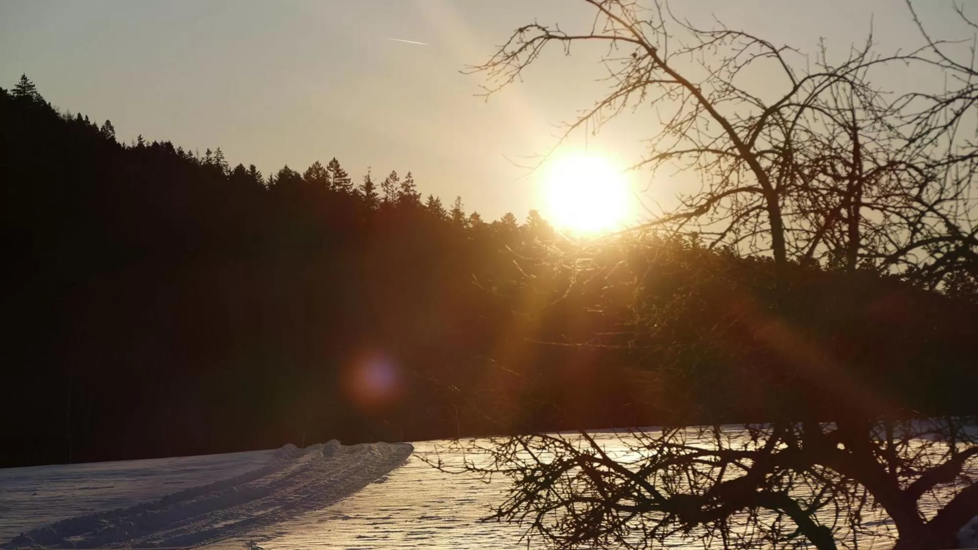 Öko-Landhotel Basler Hof