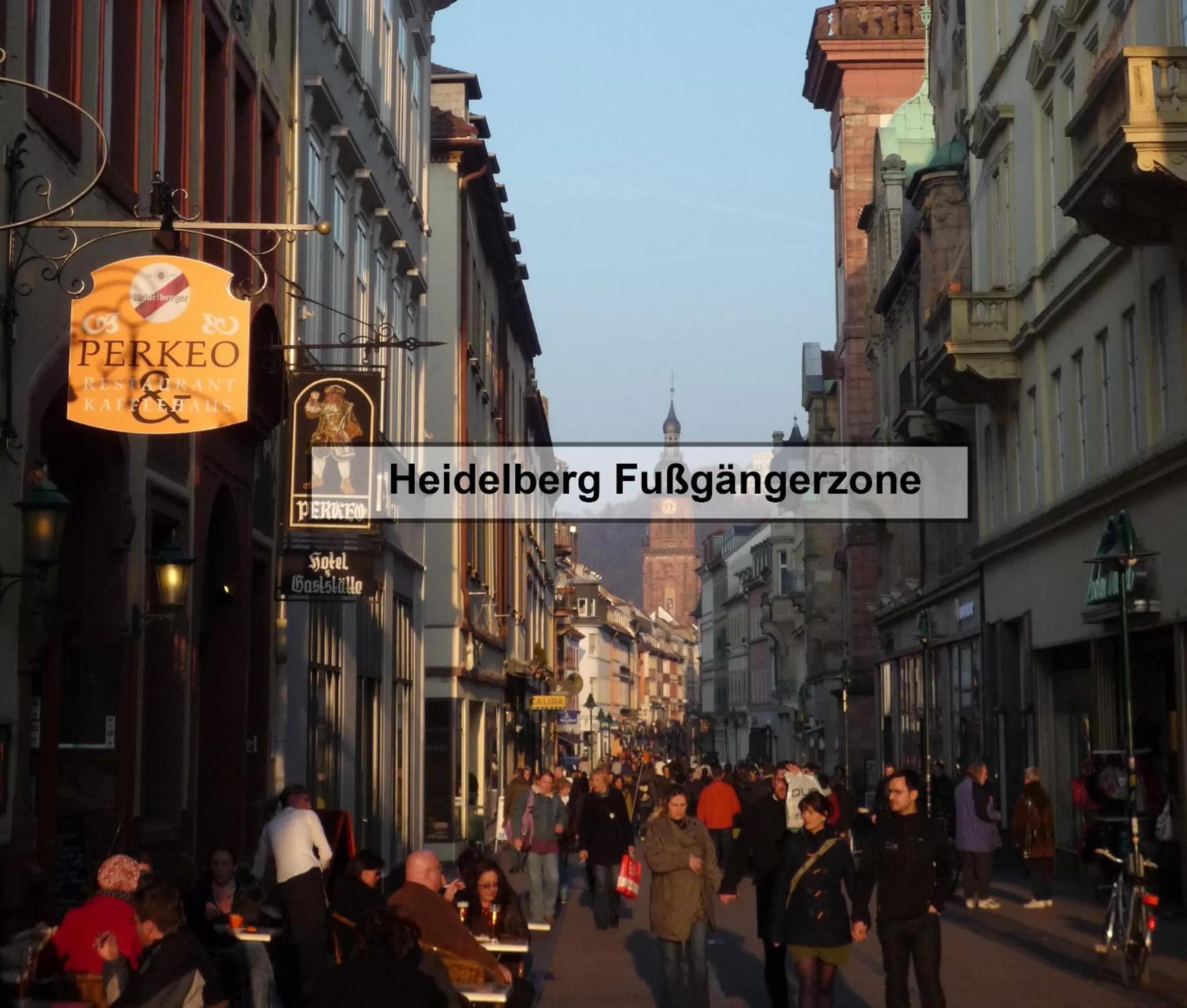 Area and facilities in Boardinghotel Heidelberg