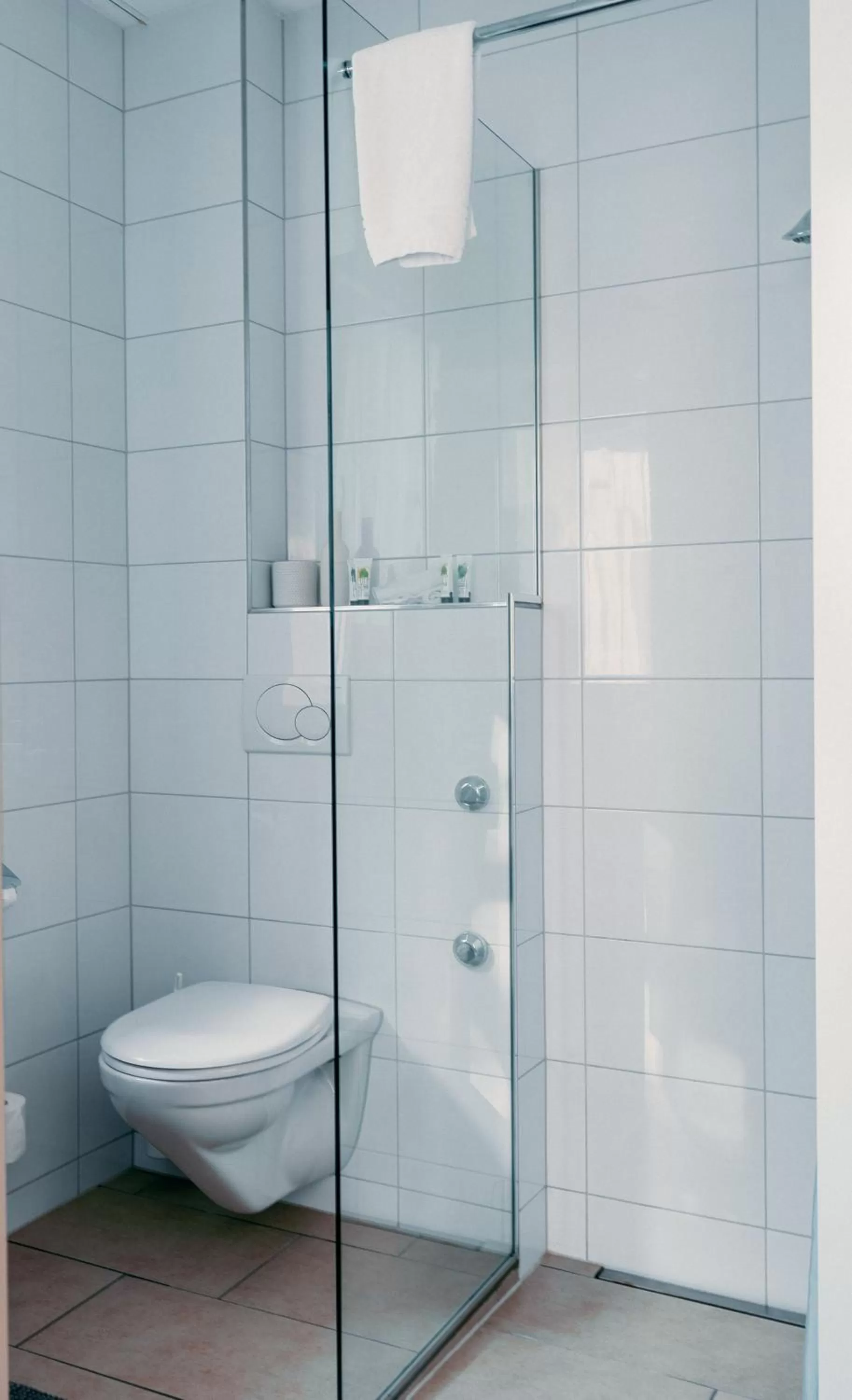 Shower in Hotel Rössli Luterbach