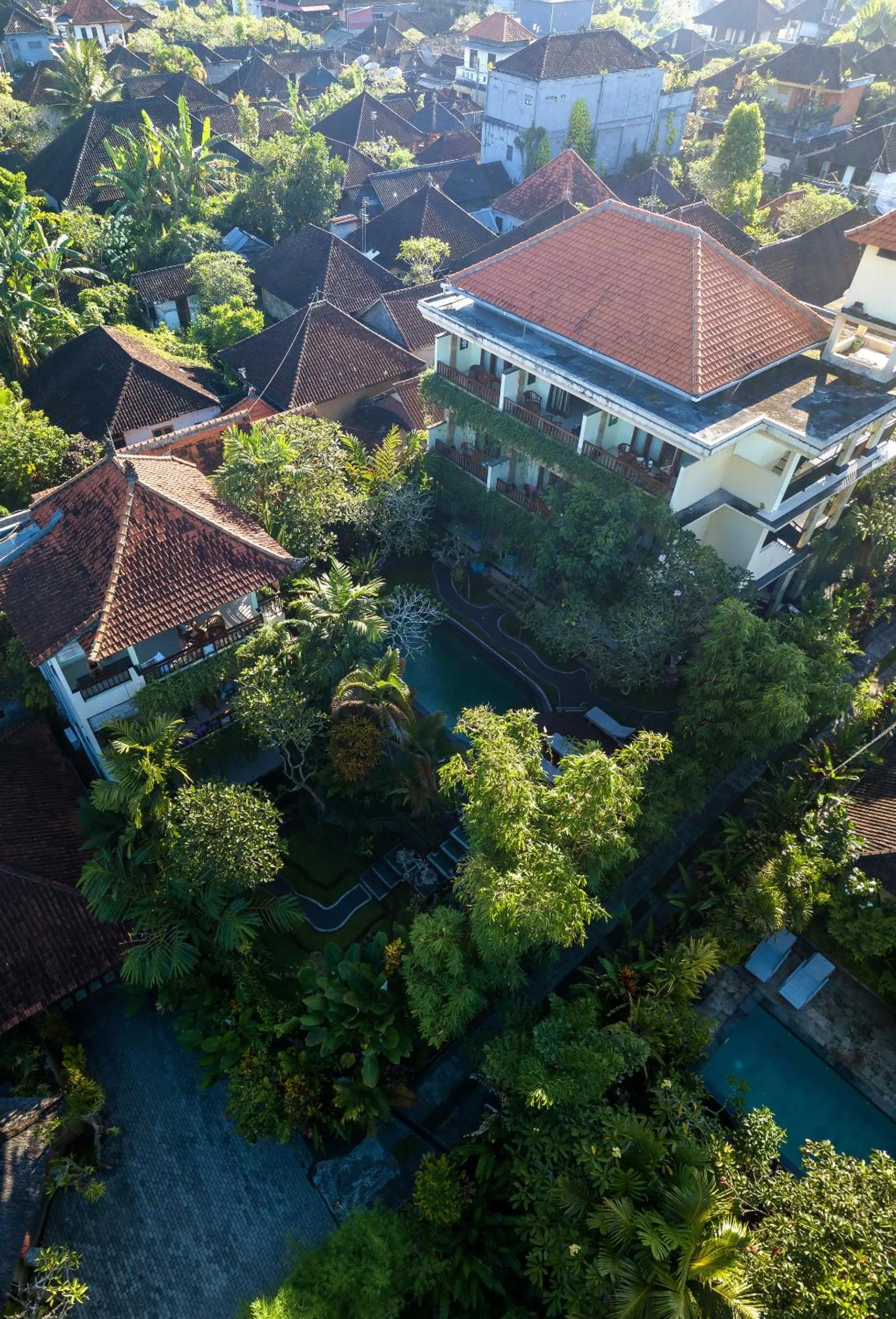 Property building in Padma Ubud Retreat