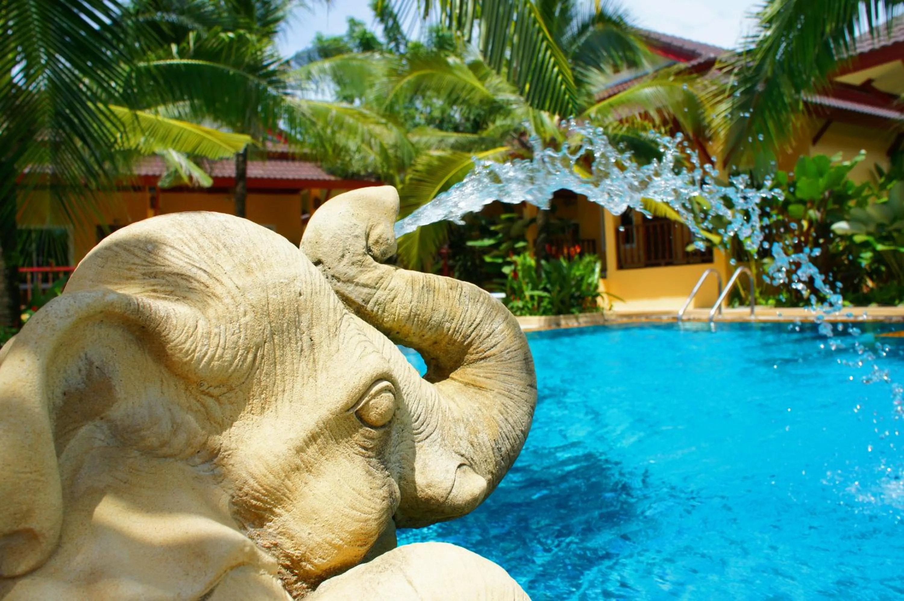 Swimming pool in Le Piman Resort