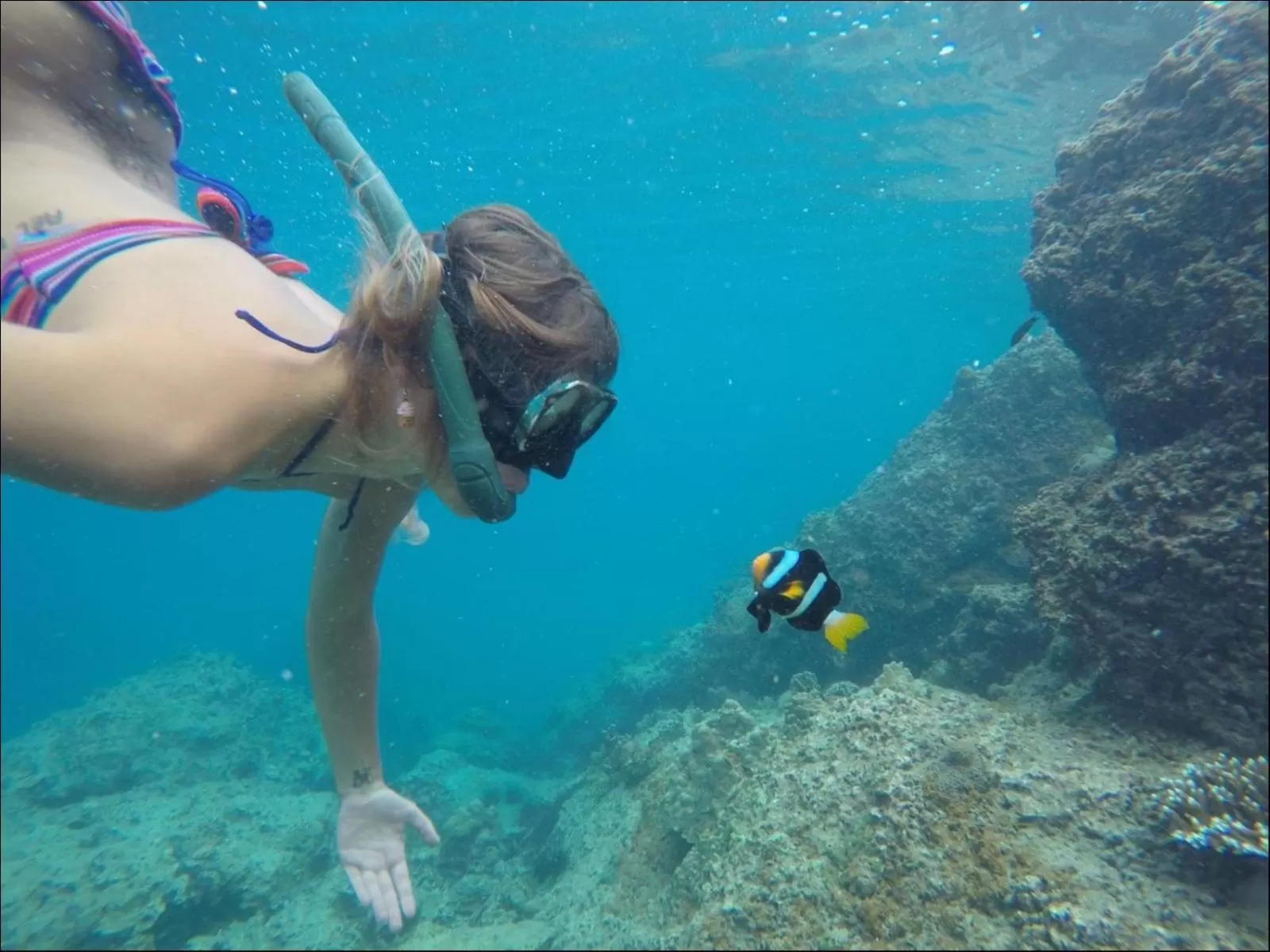 Snorkeling in Doo Dee Boutique Resort by Swiss Chalet