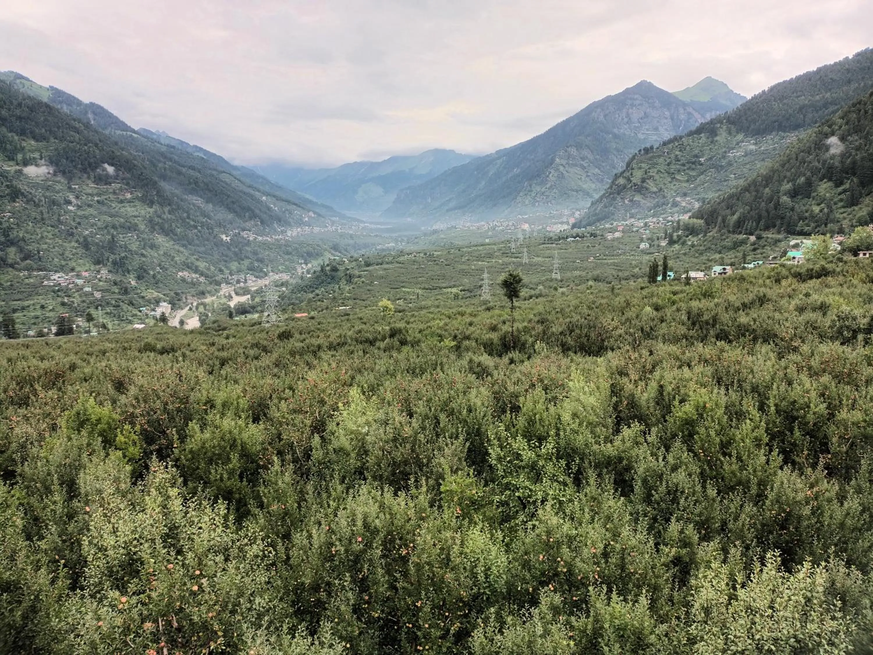 Mountain view in Sarthak Resorts-Reside in Nature with Best View, 9 kms from Mall Road Manali