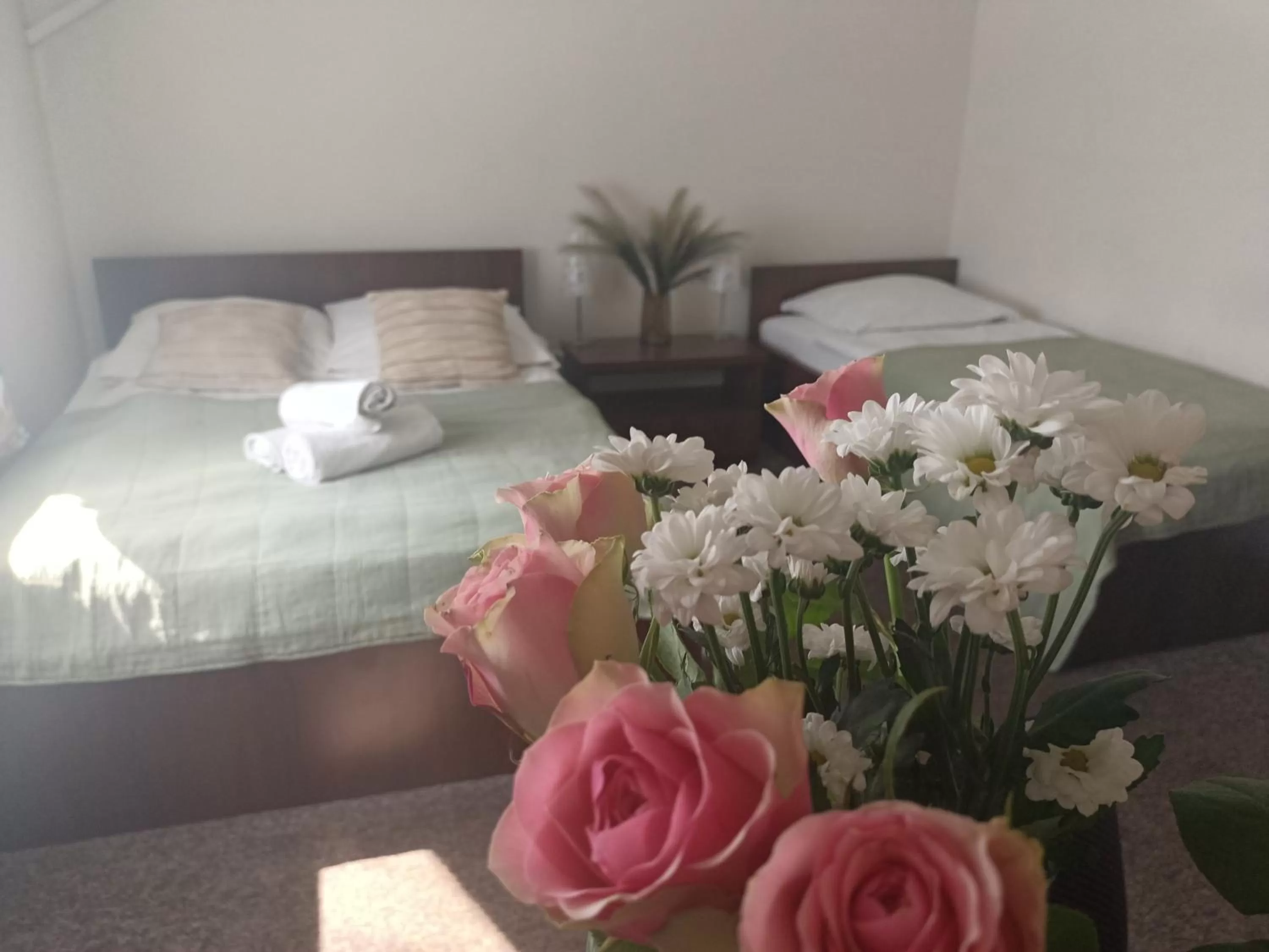 Bed in Pokoje Bakos Radocza