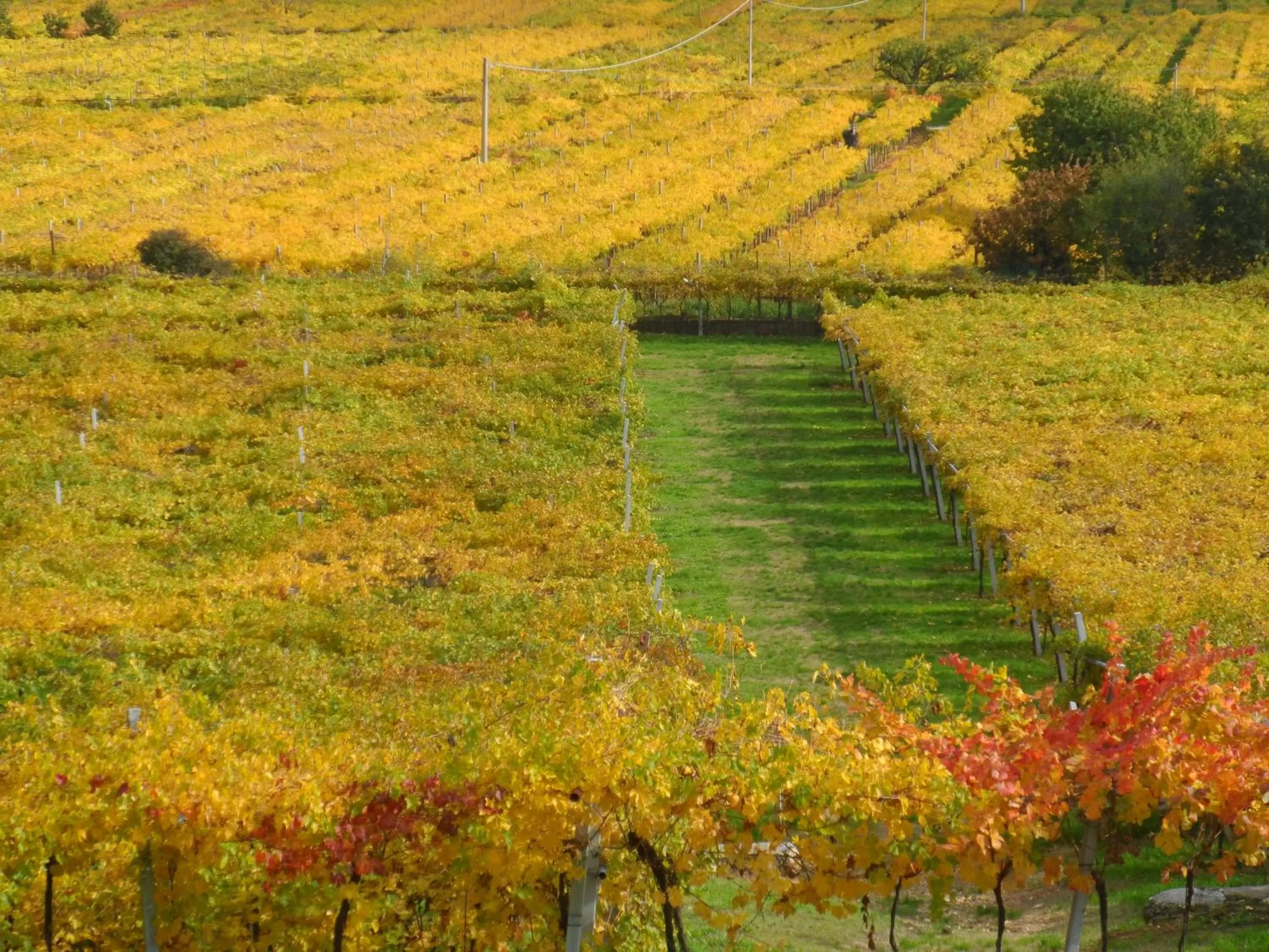 Day in Hotel Villa Moron