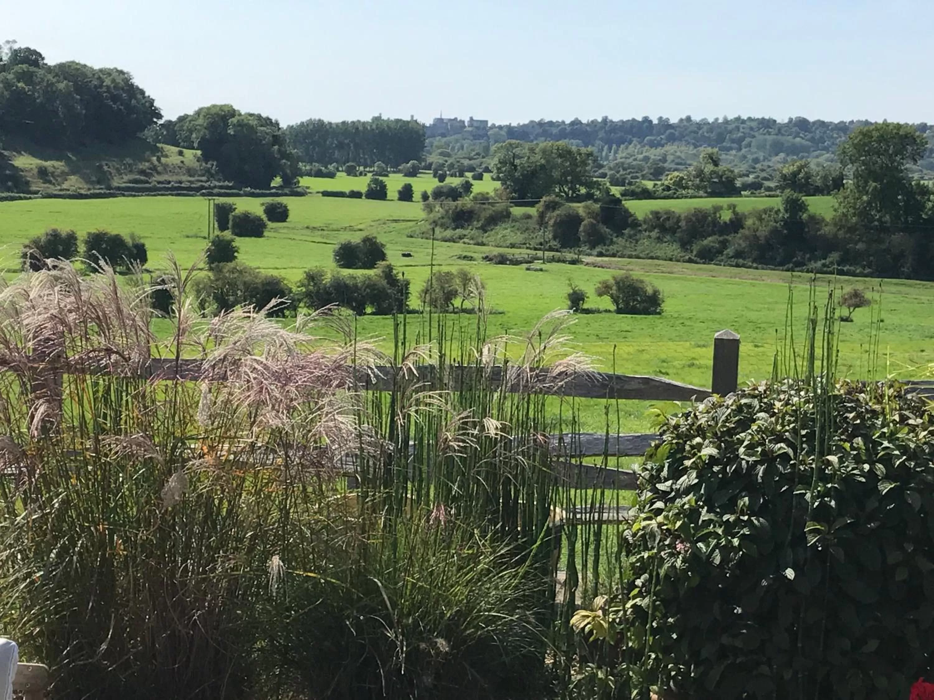 Nearby landmark in The Cow Hide