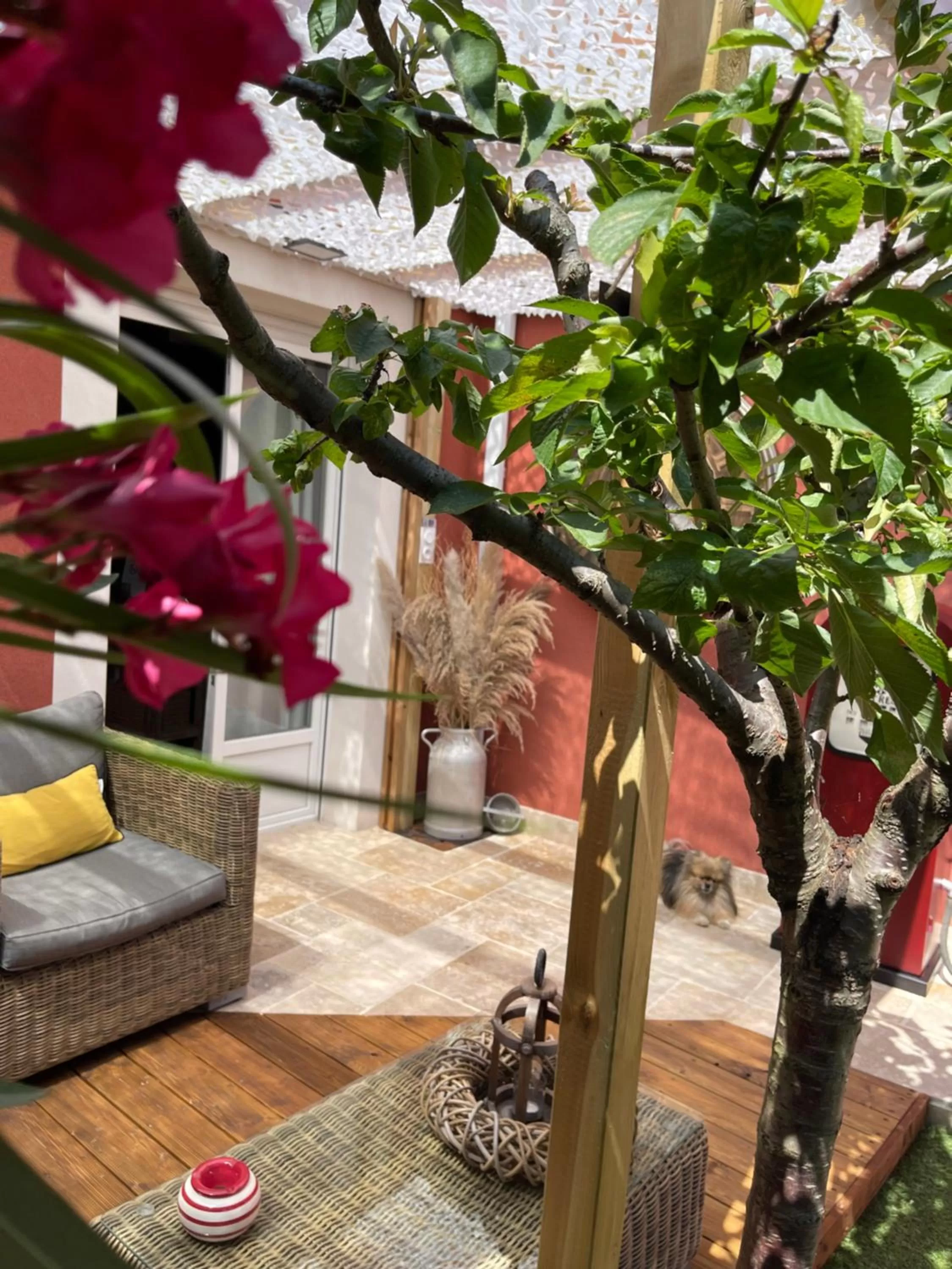 Garden in SUITE 785 Chambre d hôtes Jacuzzi Cave indépendante