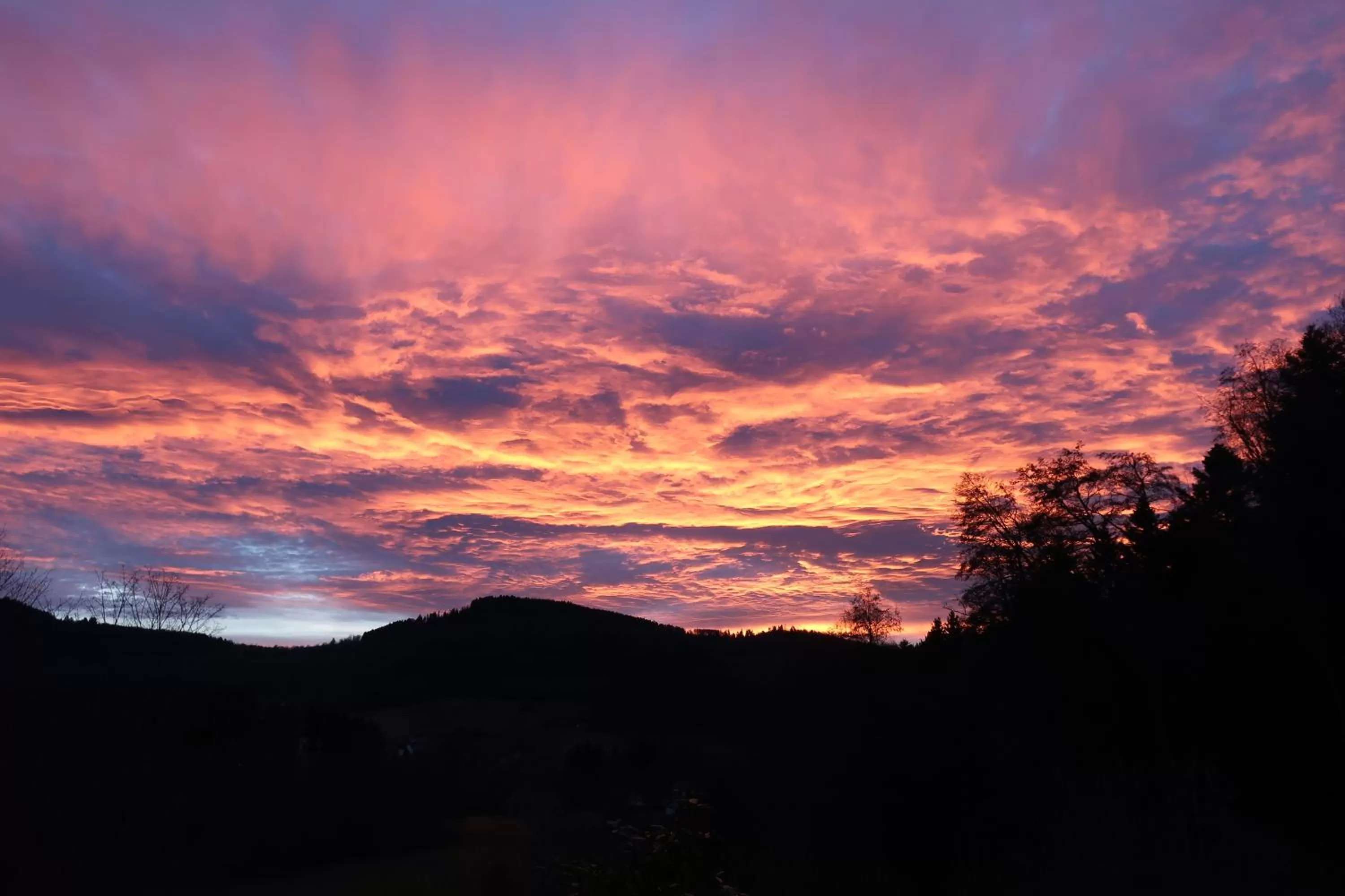 Natural landscape in chambres d'hôtes le Chêne