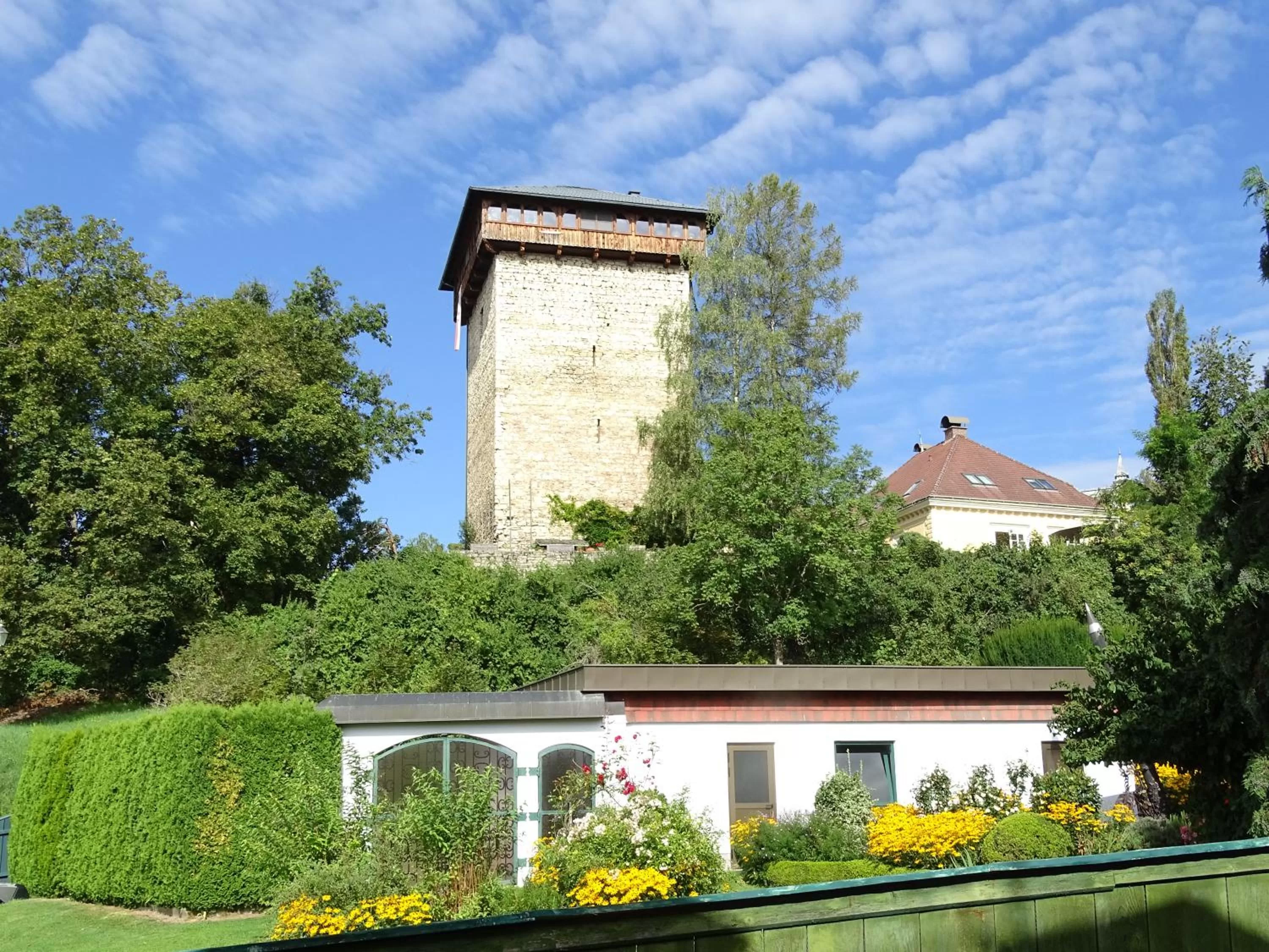 View (from property/room) in Bed and Breakfast Mittelkärnten