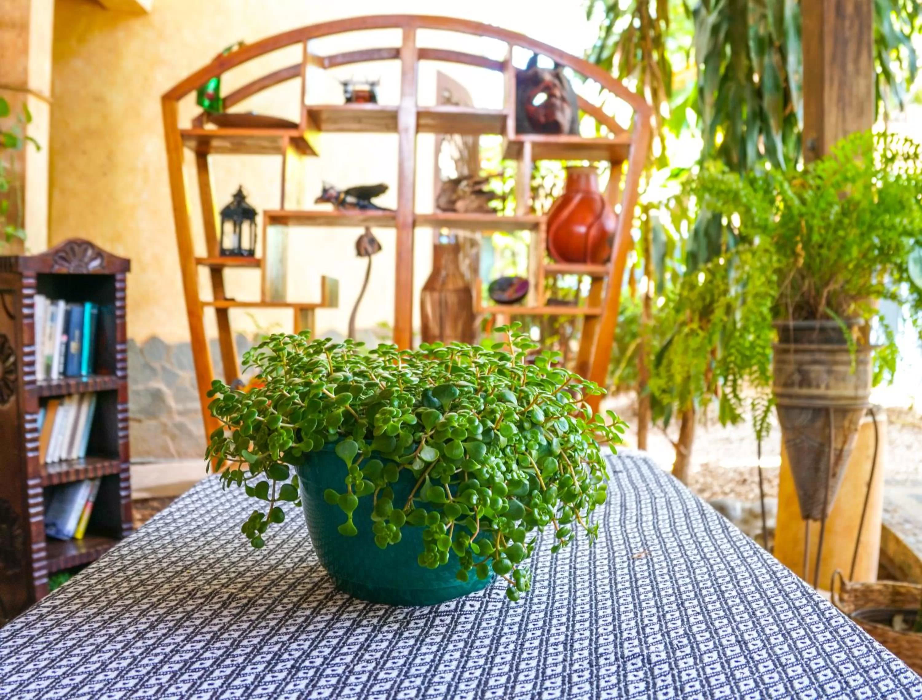 Patio in Hotel Boruca Tamarindo