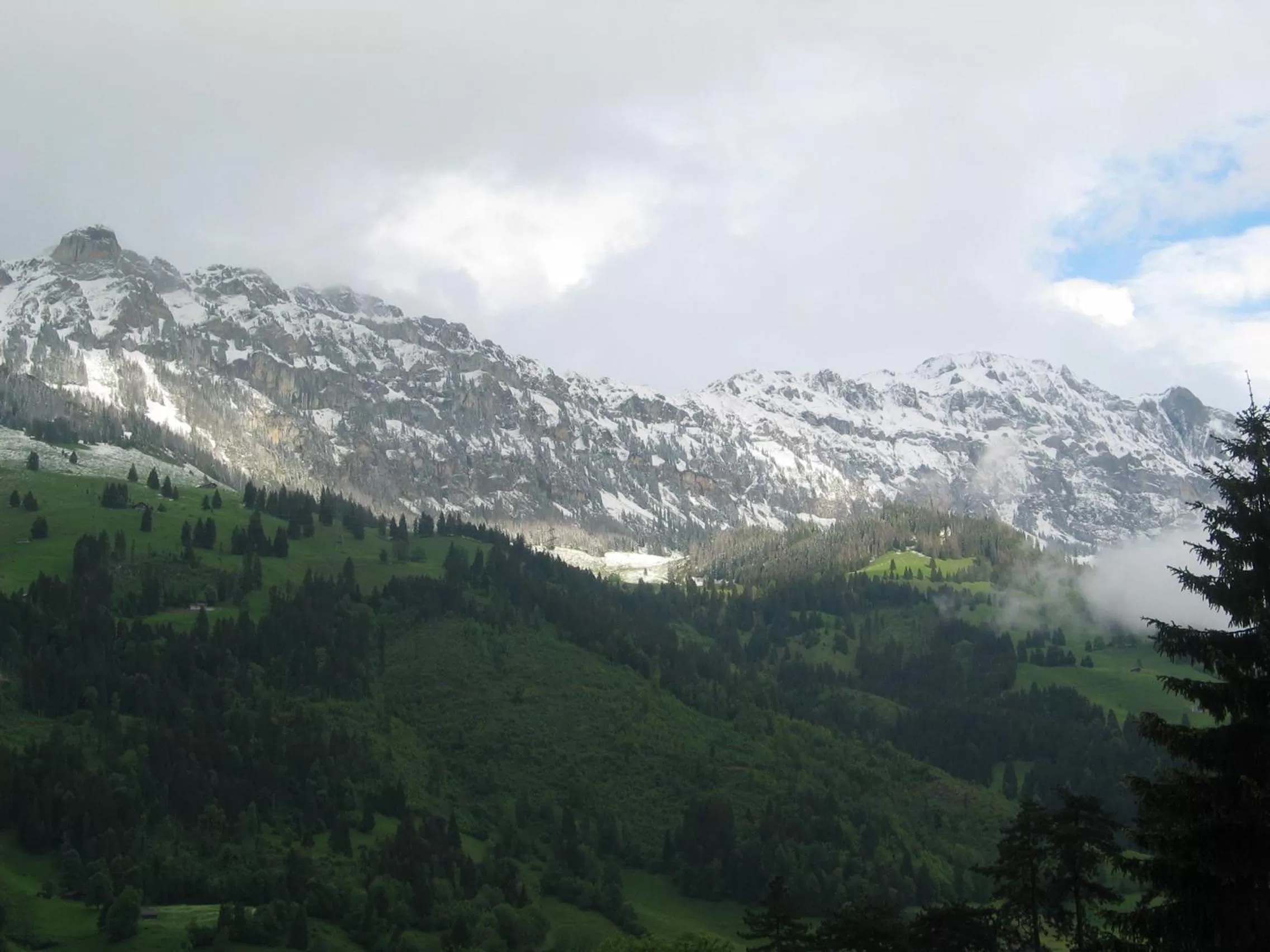 View (from property/room), Mountain View in Hotel National