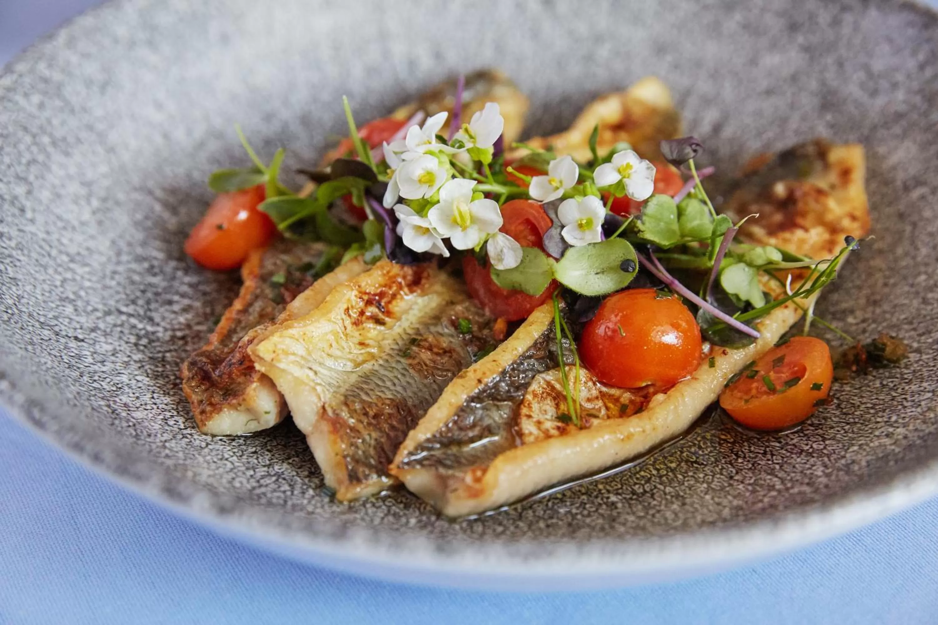 Restaurant/places to eat in Zum Fischer am See ***S