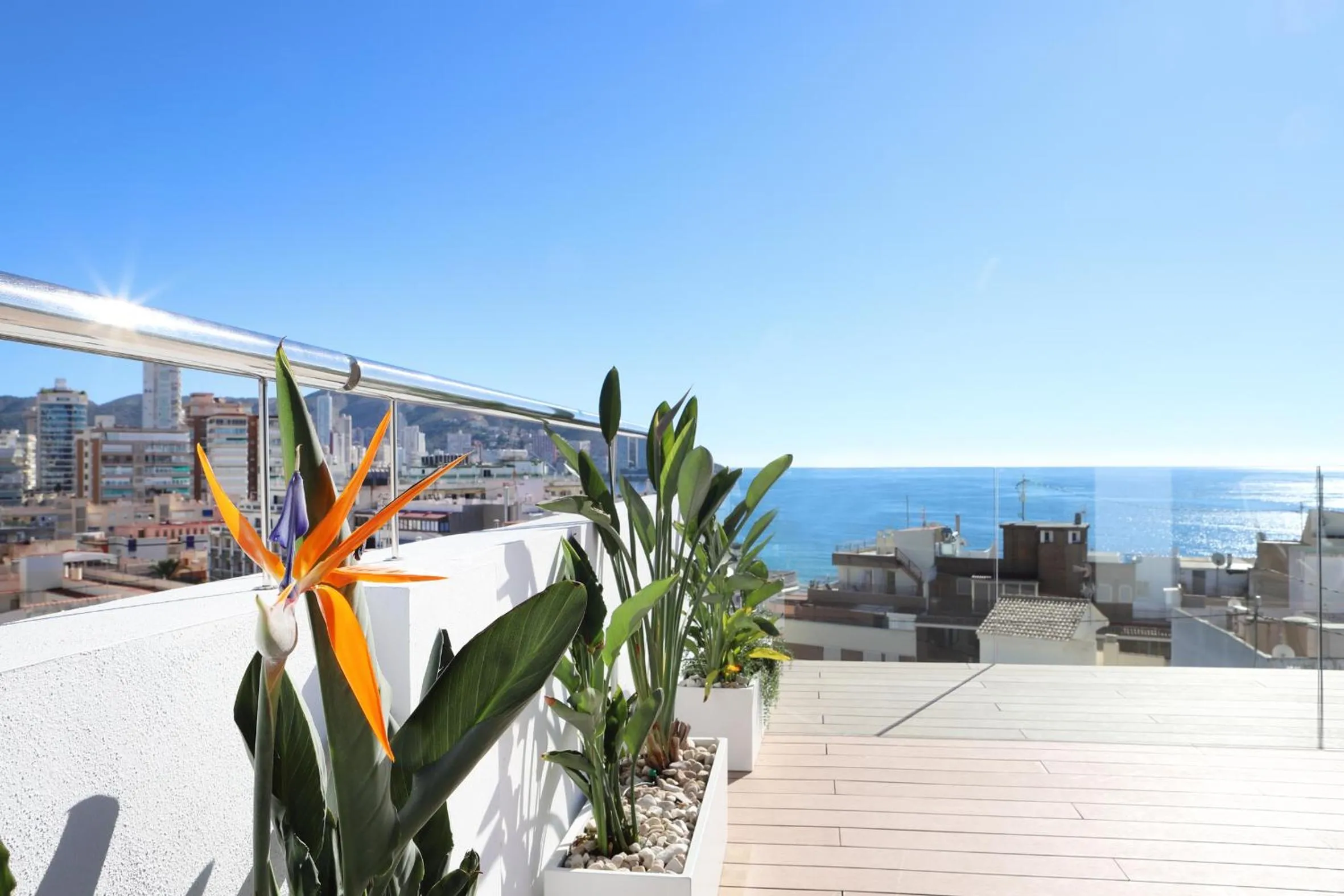 Property building in Hotel Alameda