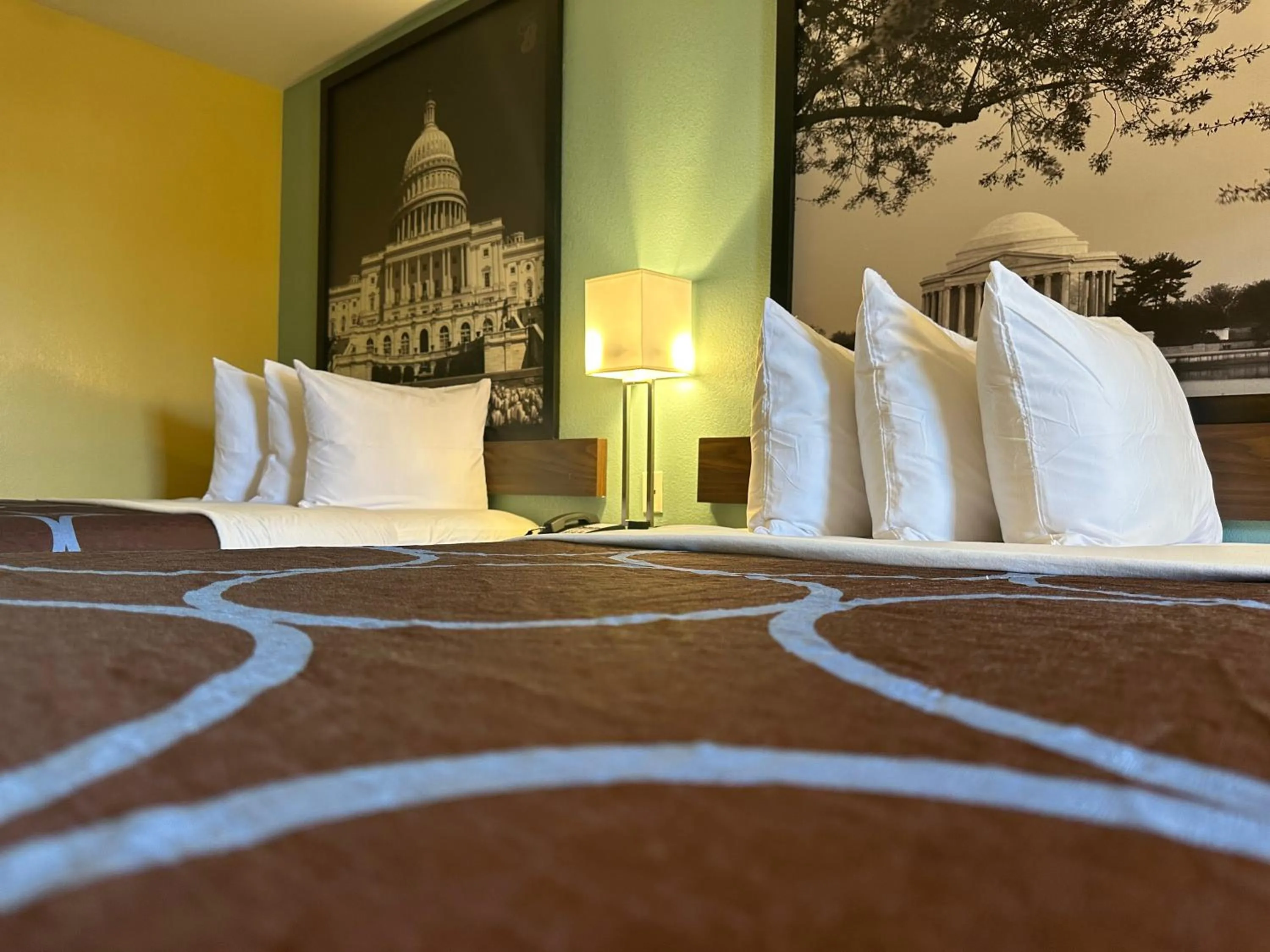 Bed in Super 8 by Wyndham WestEnd Alexandria,VA Washington DC Area