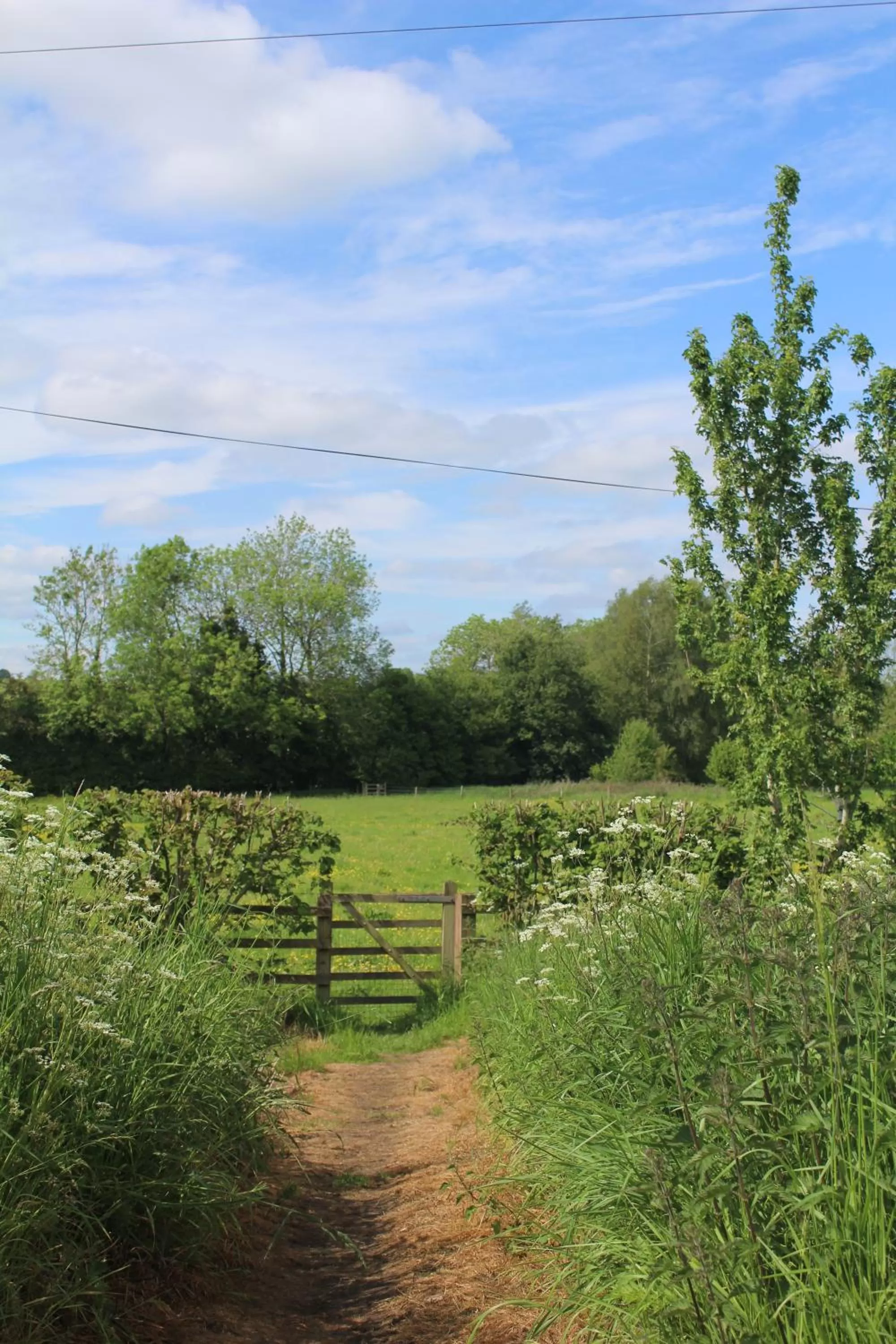 Natural landscape in Halfway House Inn & Cottages
