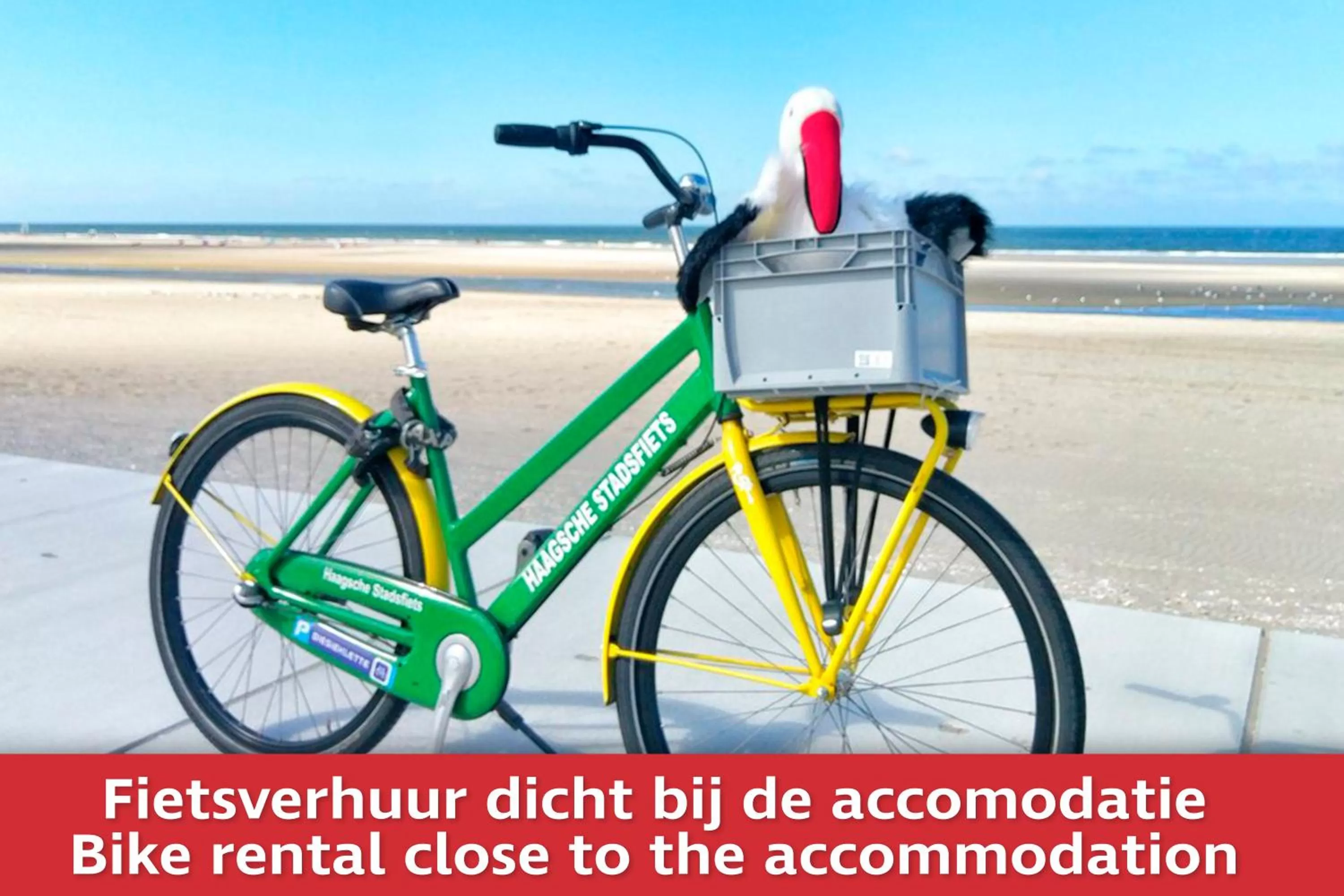 Activities in Boutique Hotel First City