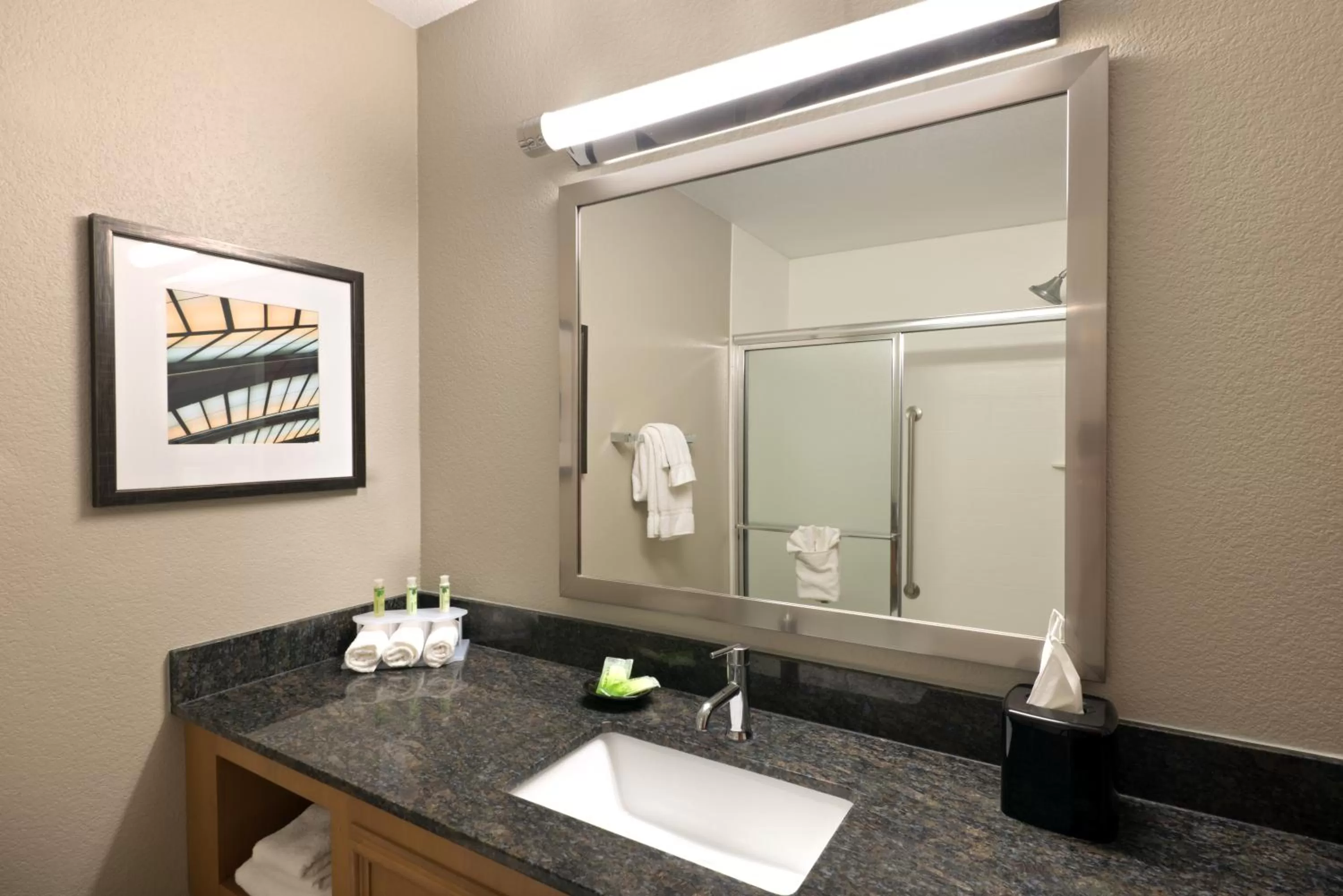 Bathroom in Holiday Inn Express Hotel & Suites Fraser Winter Park Area by IHG