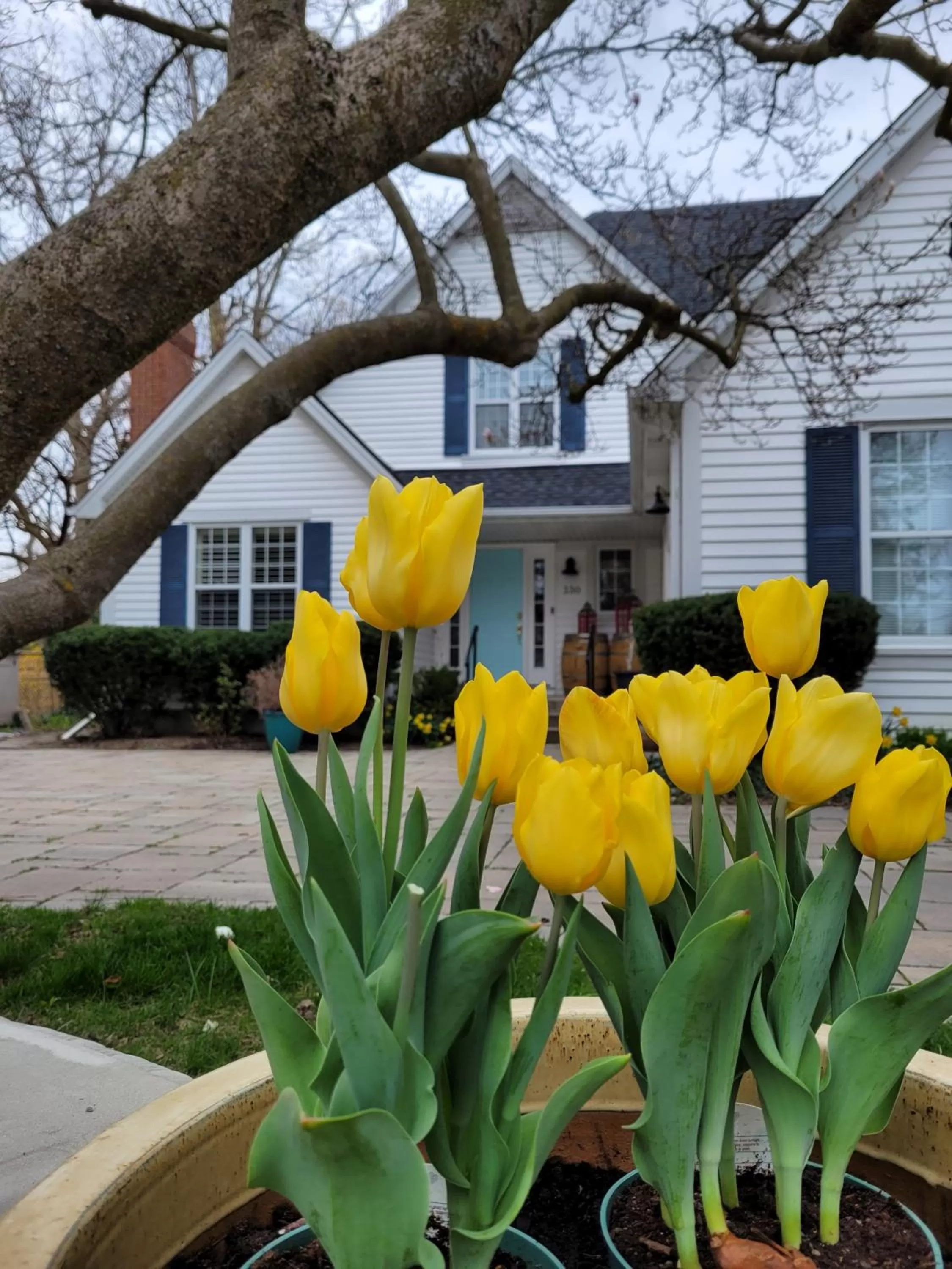 Property Building in La Maison de Sophie