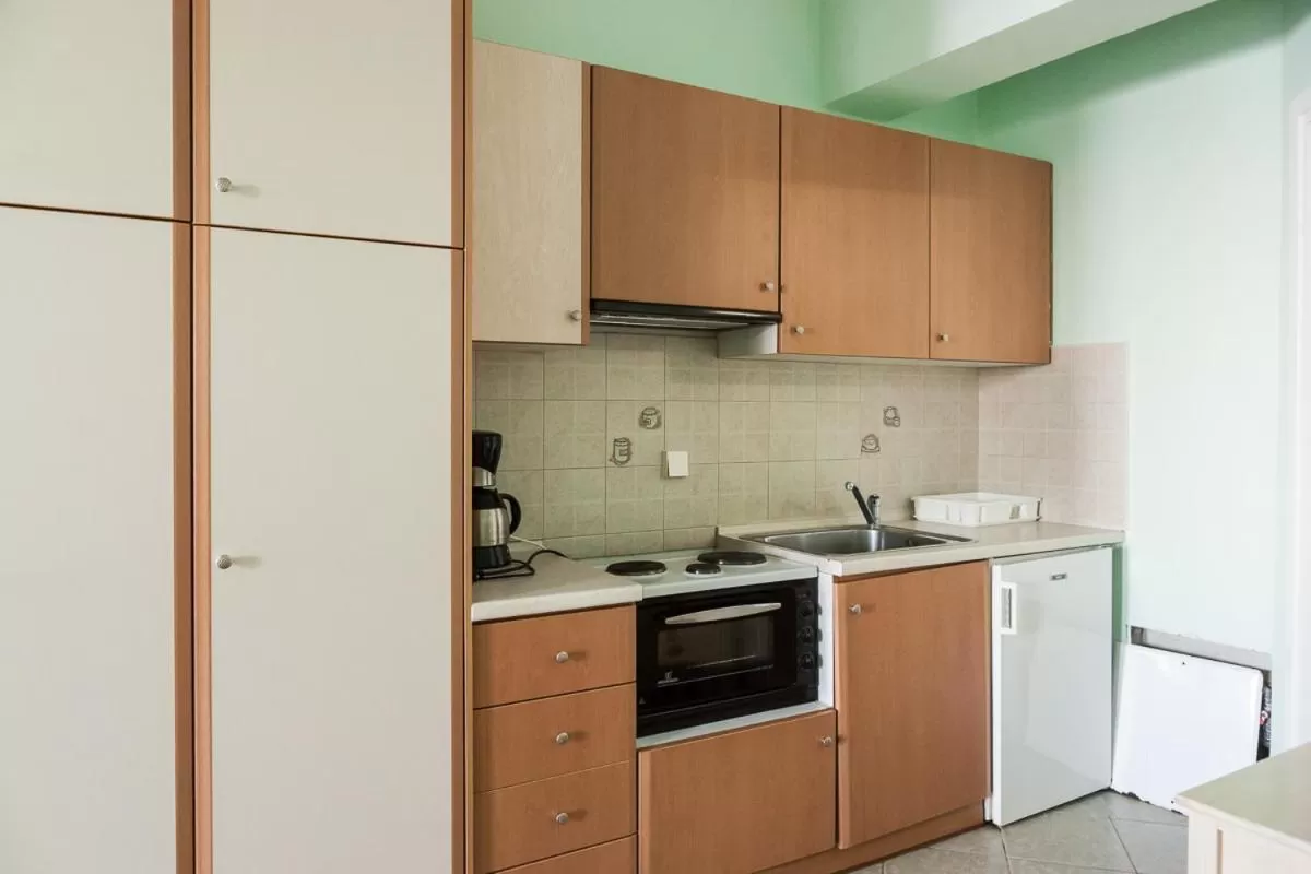 Kitchen or kitchenette in Epidavros Seascape