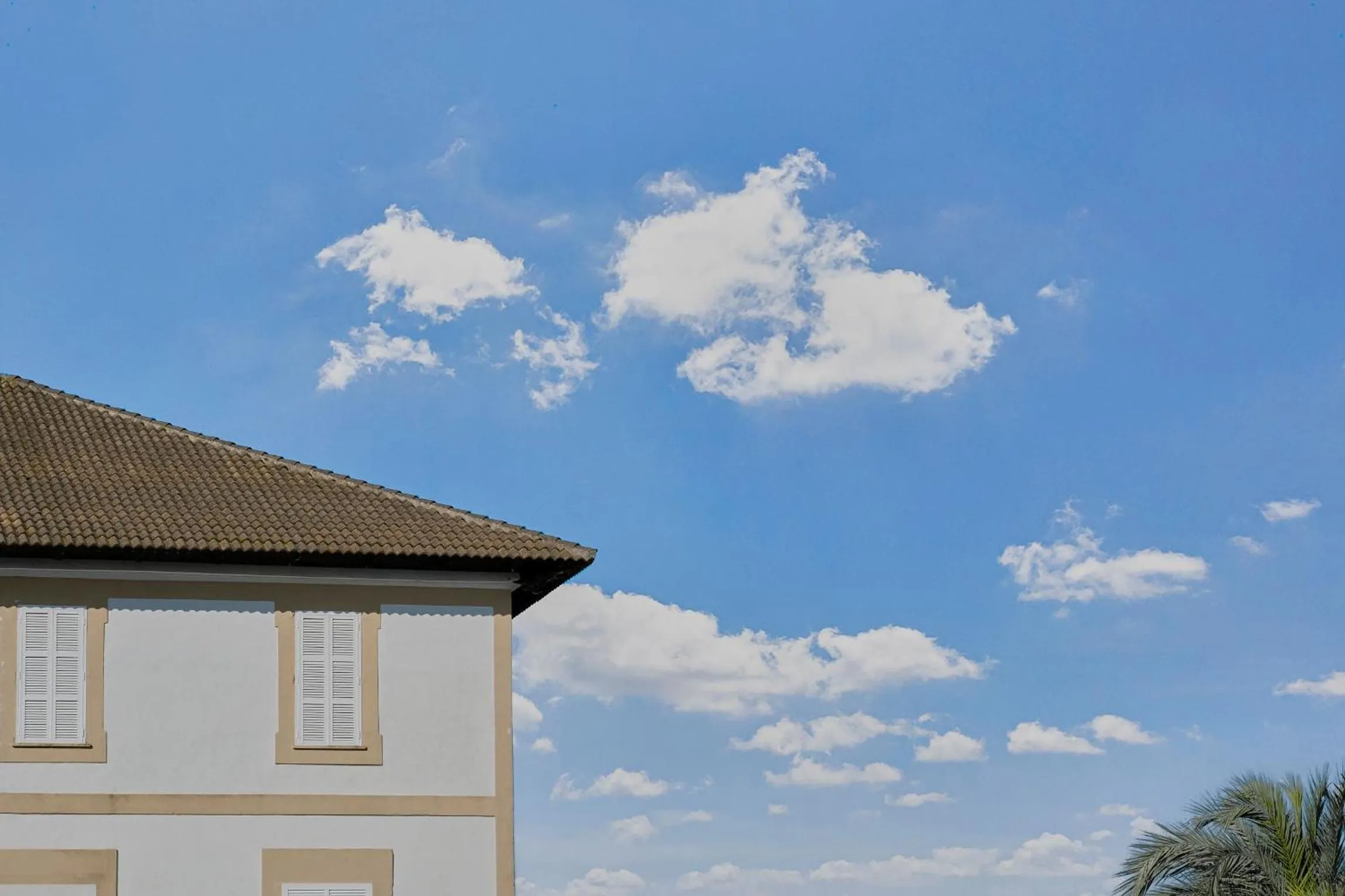 Property building in Prinsotel Mal Pas - Adults Only