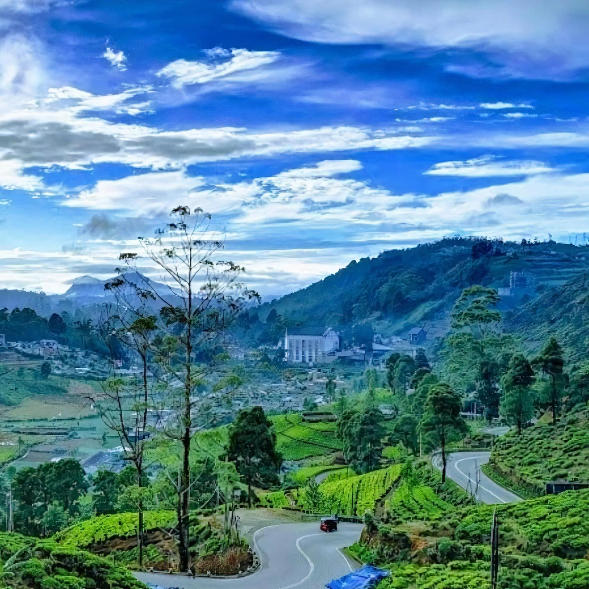 City view in Luxe Wilderness - Private Villas, Free Breakfast, 2km from City Centre