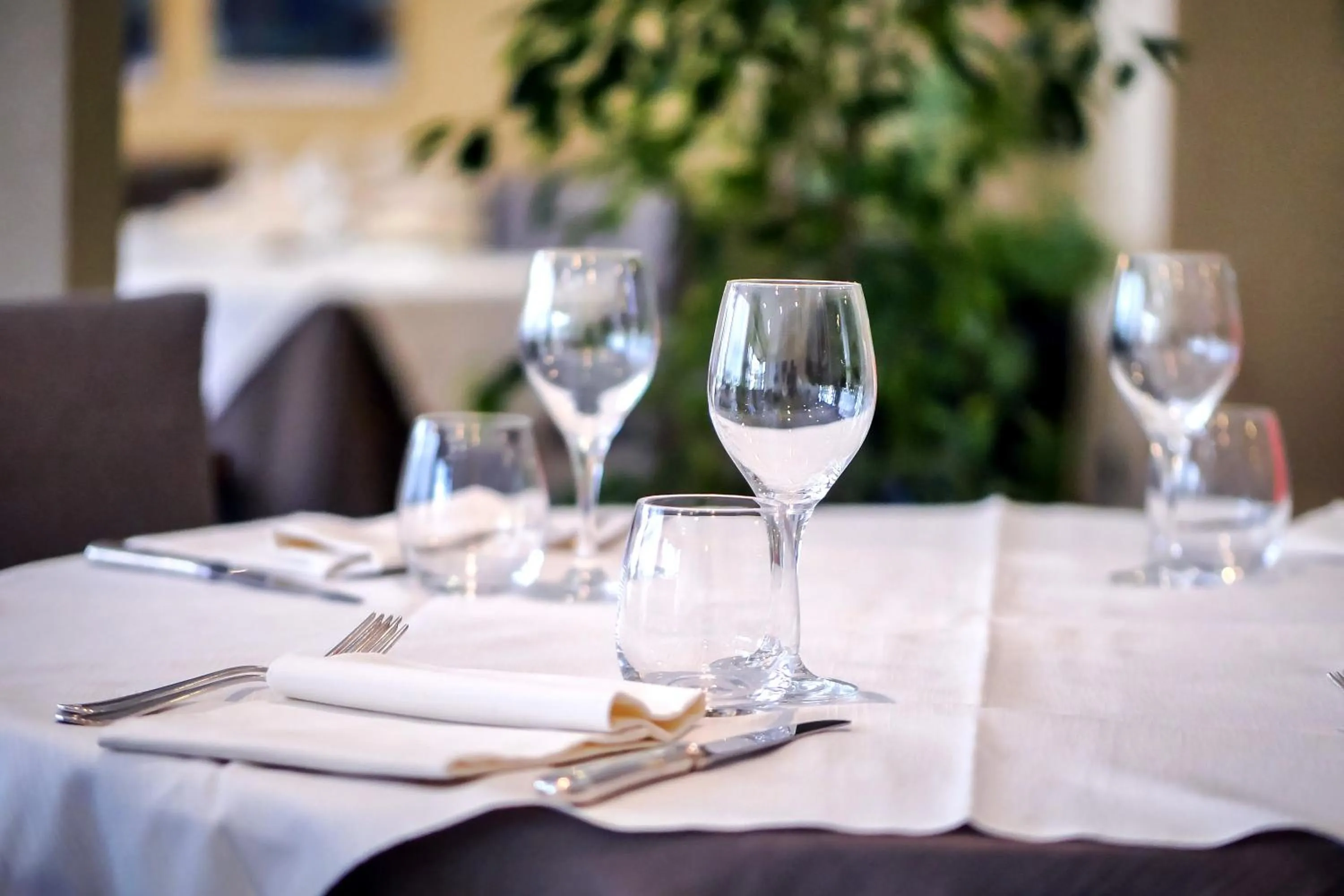 Restaurant/places to eat in Hotel Concorde