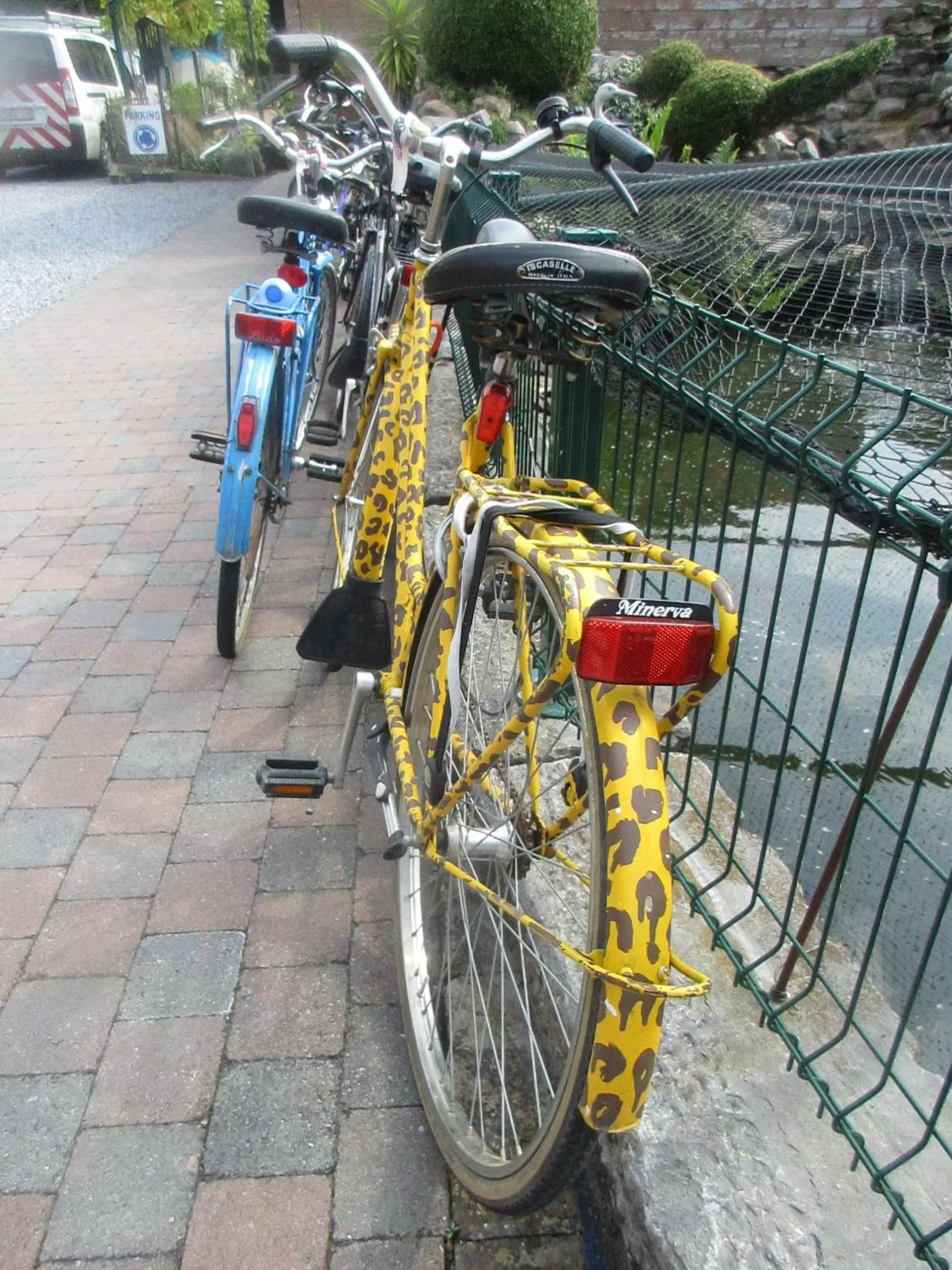 Entertainment in B&B Casa Roman & Vakantiewoning voor 1 pers tot max 32 personen