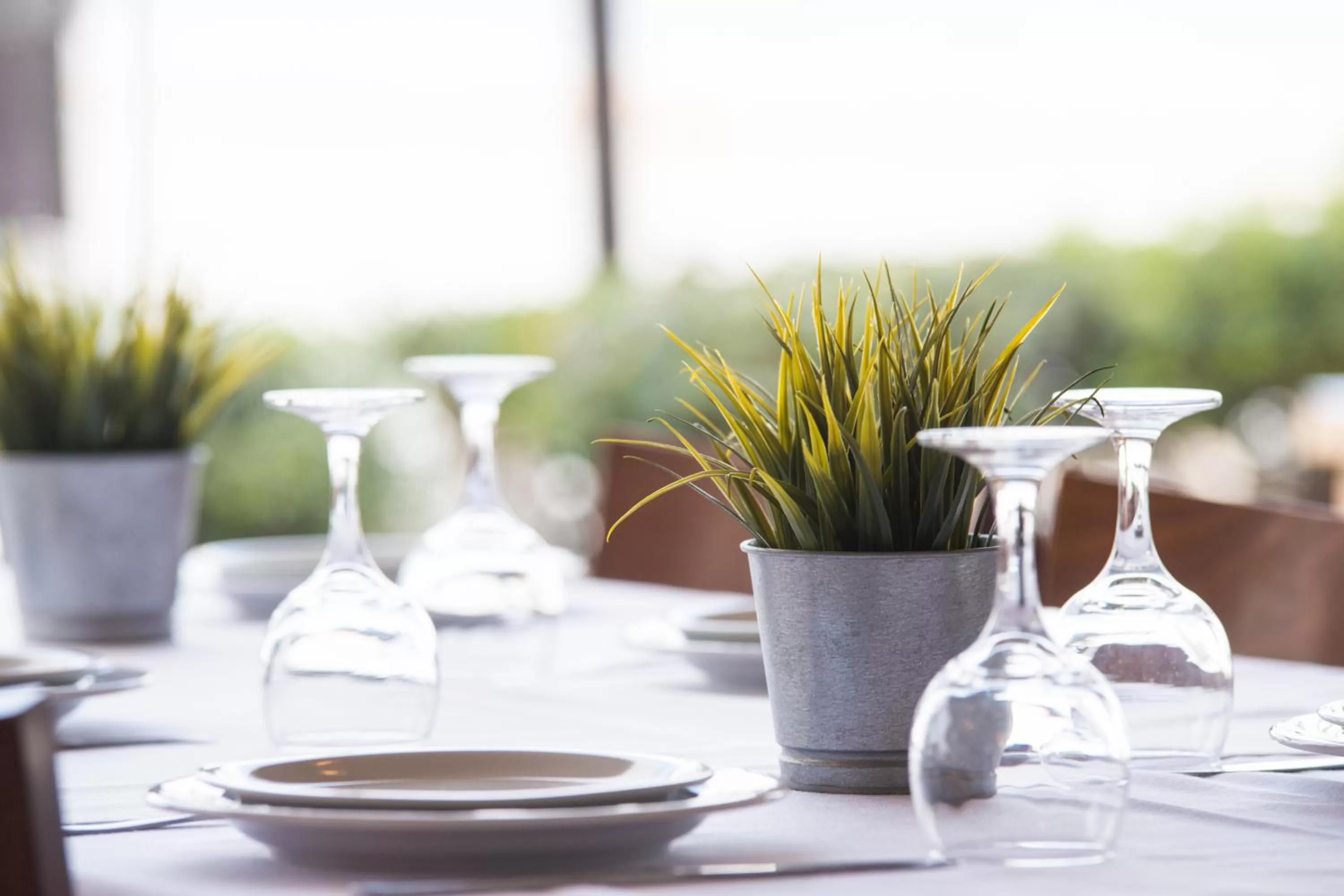 Restaurant/Places to Eat in Hotel Aigli