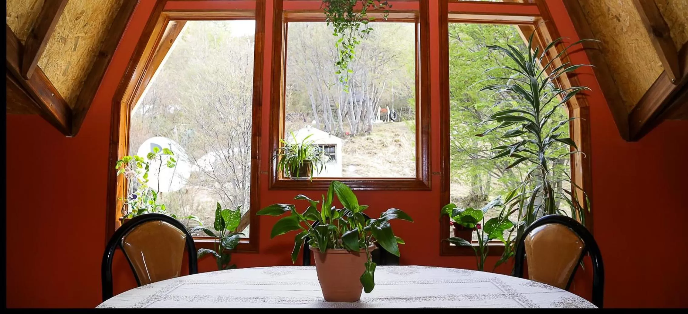 View (from property/room) in Mirador del Beagle Hosteria