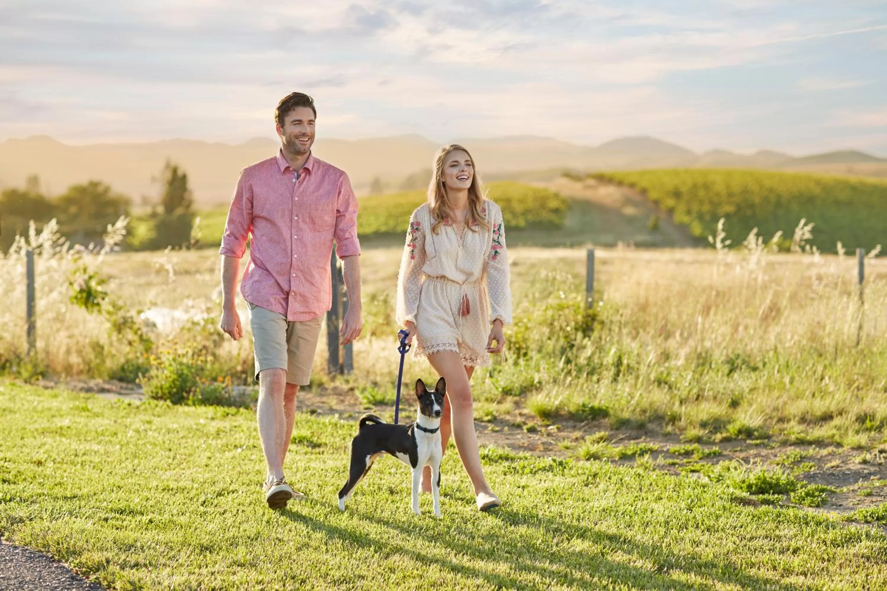 Pets in Carneros Resort and Spa
