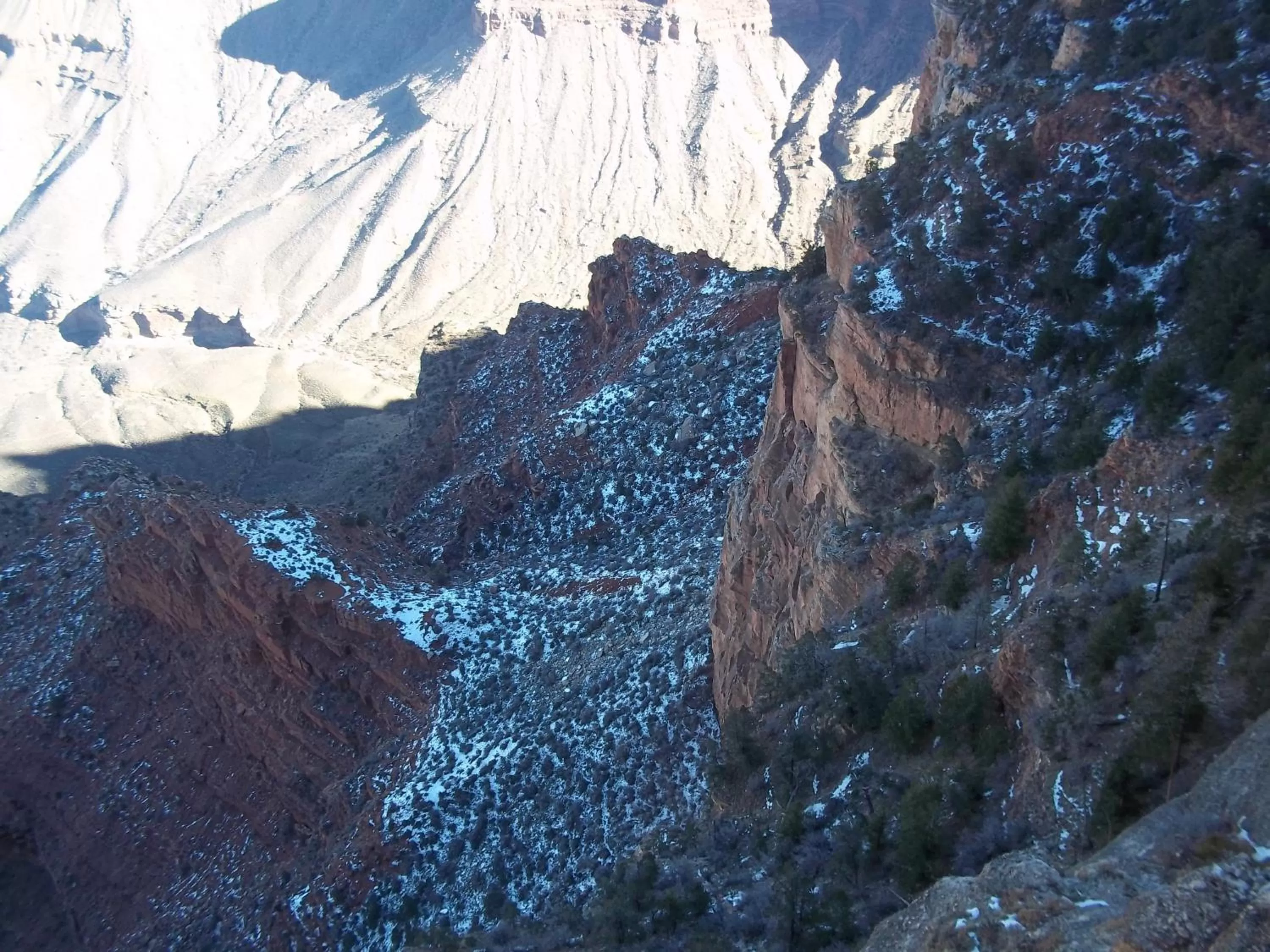 Day in American Regency Inn