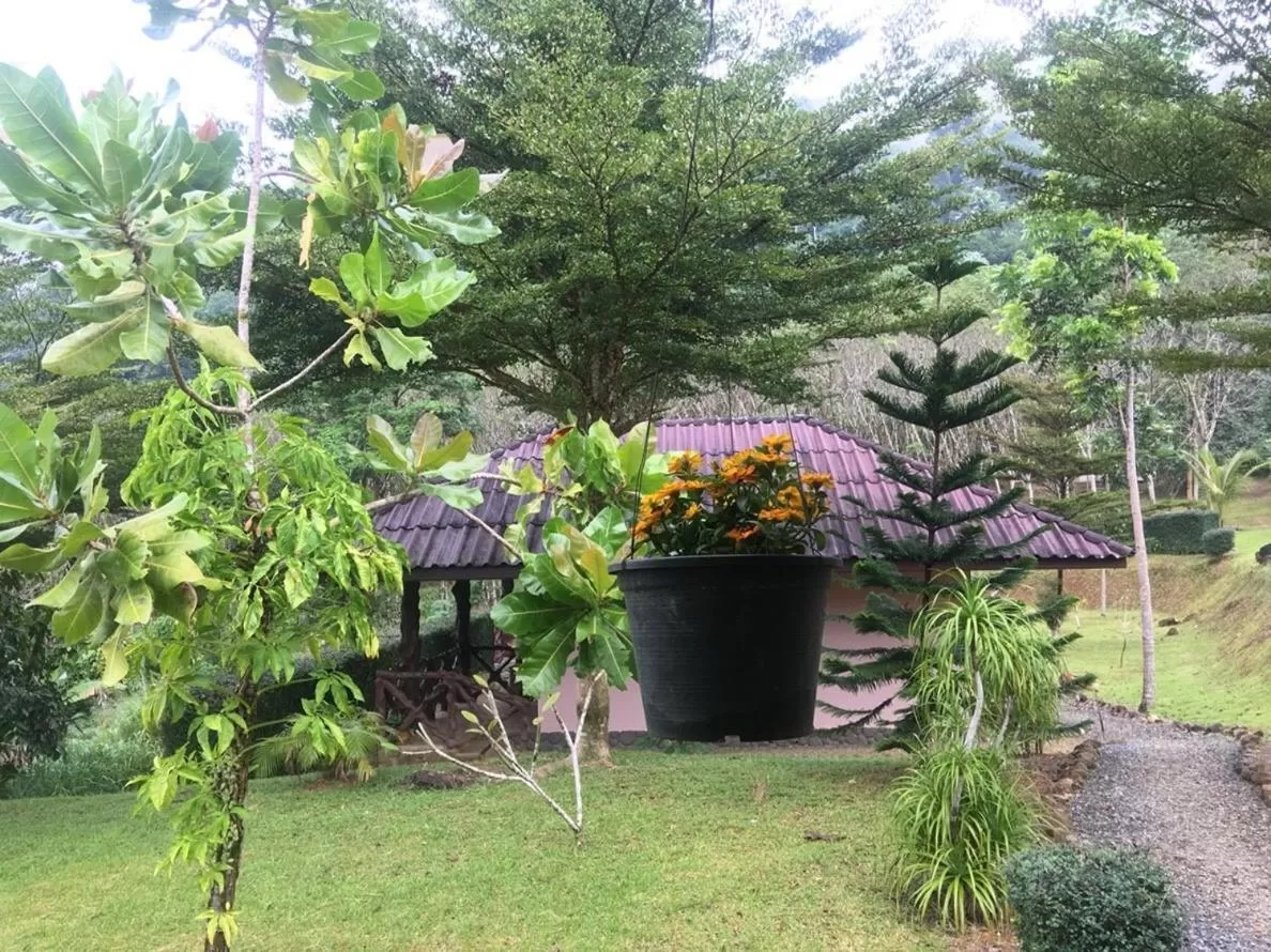 Activities in Khao Sok Hill Top Resort