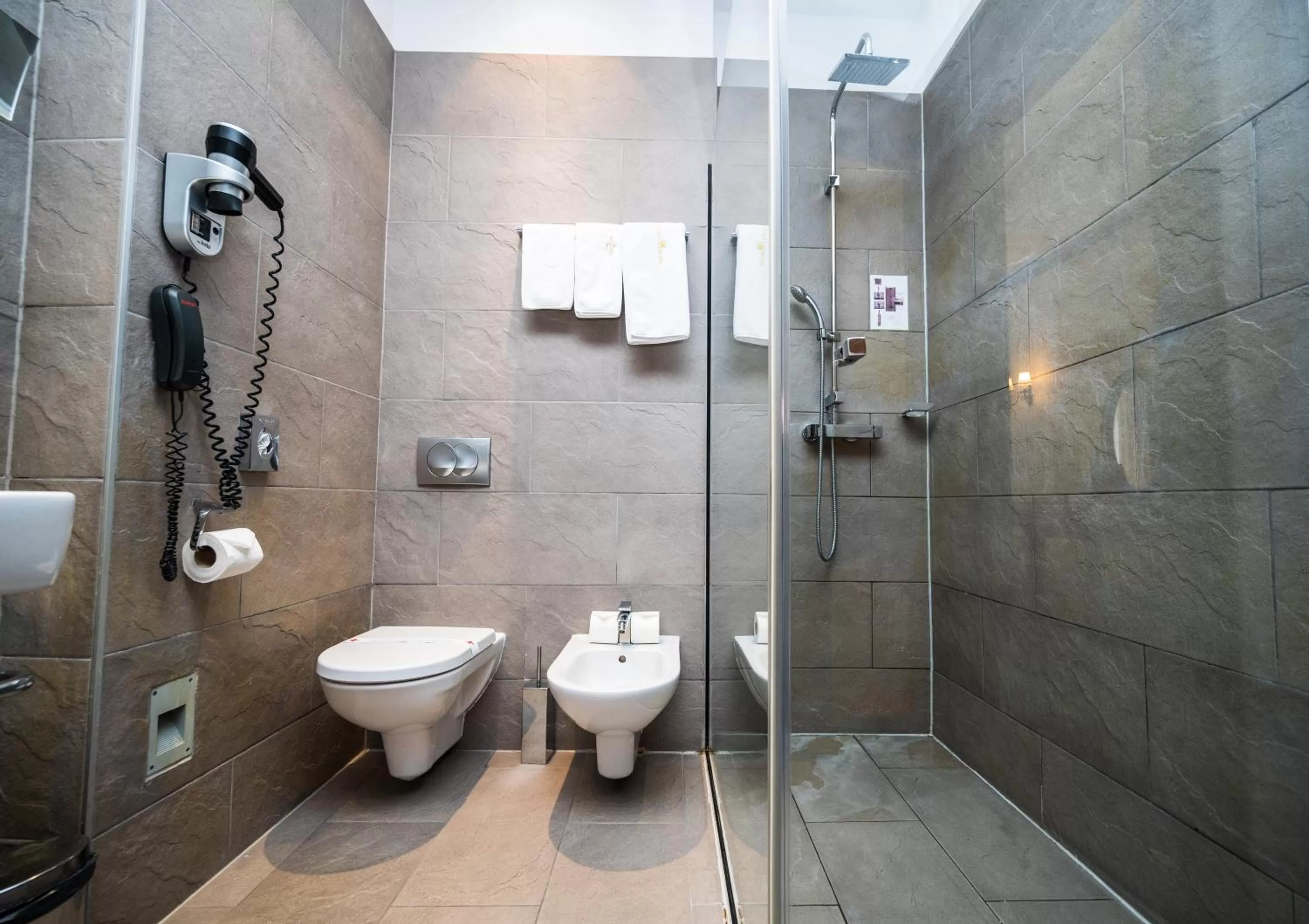 Toilet in Hotel Europe