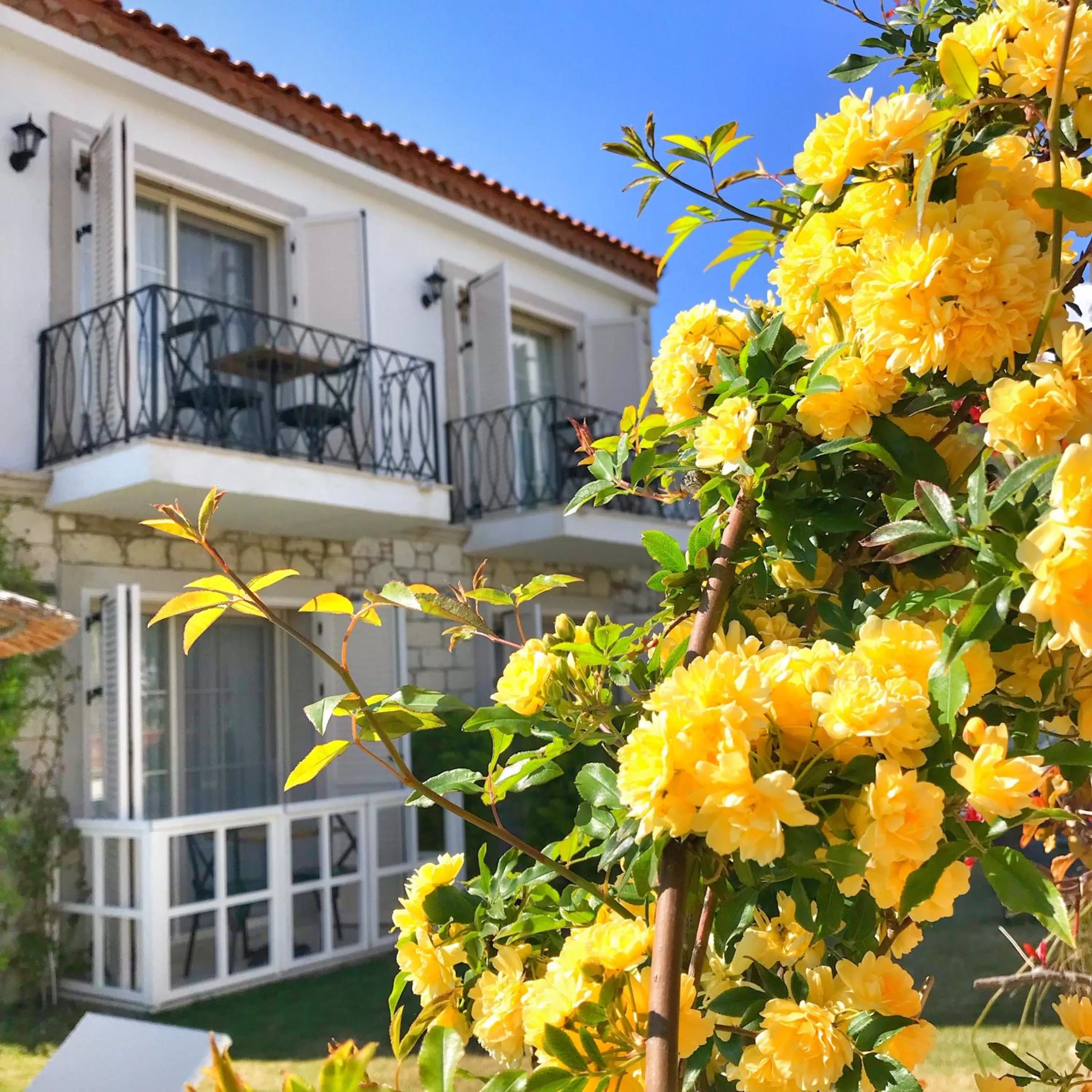 Property building in Morisi Konak Butik Otel