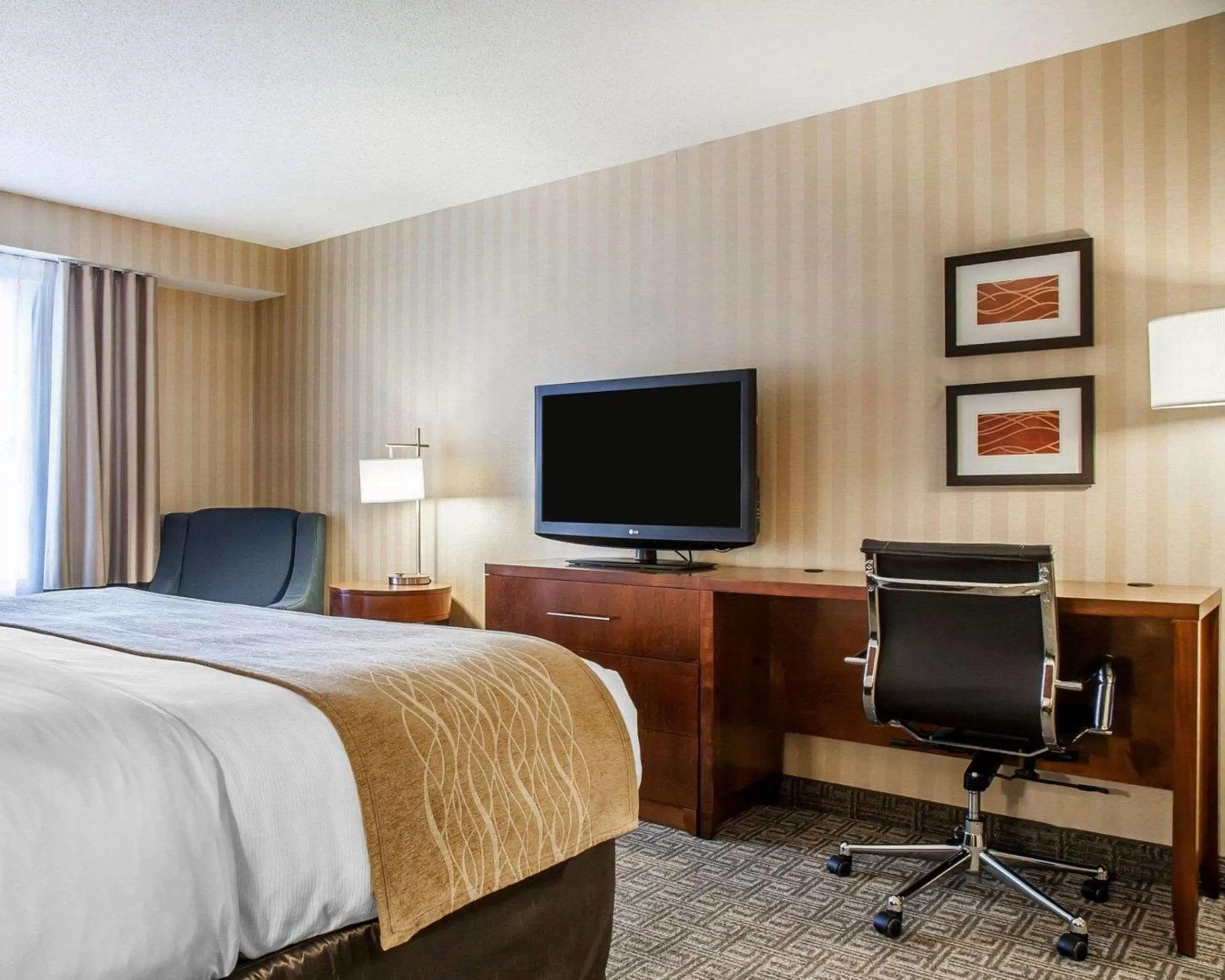 Photo of the whole room, Bed in Comfort Inn & Suites Sturbridge-Brimfield